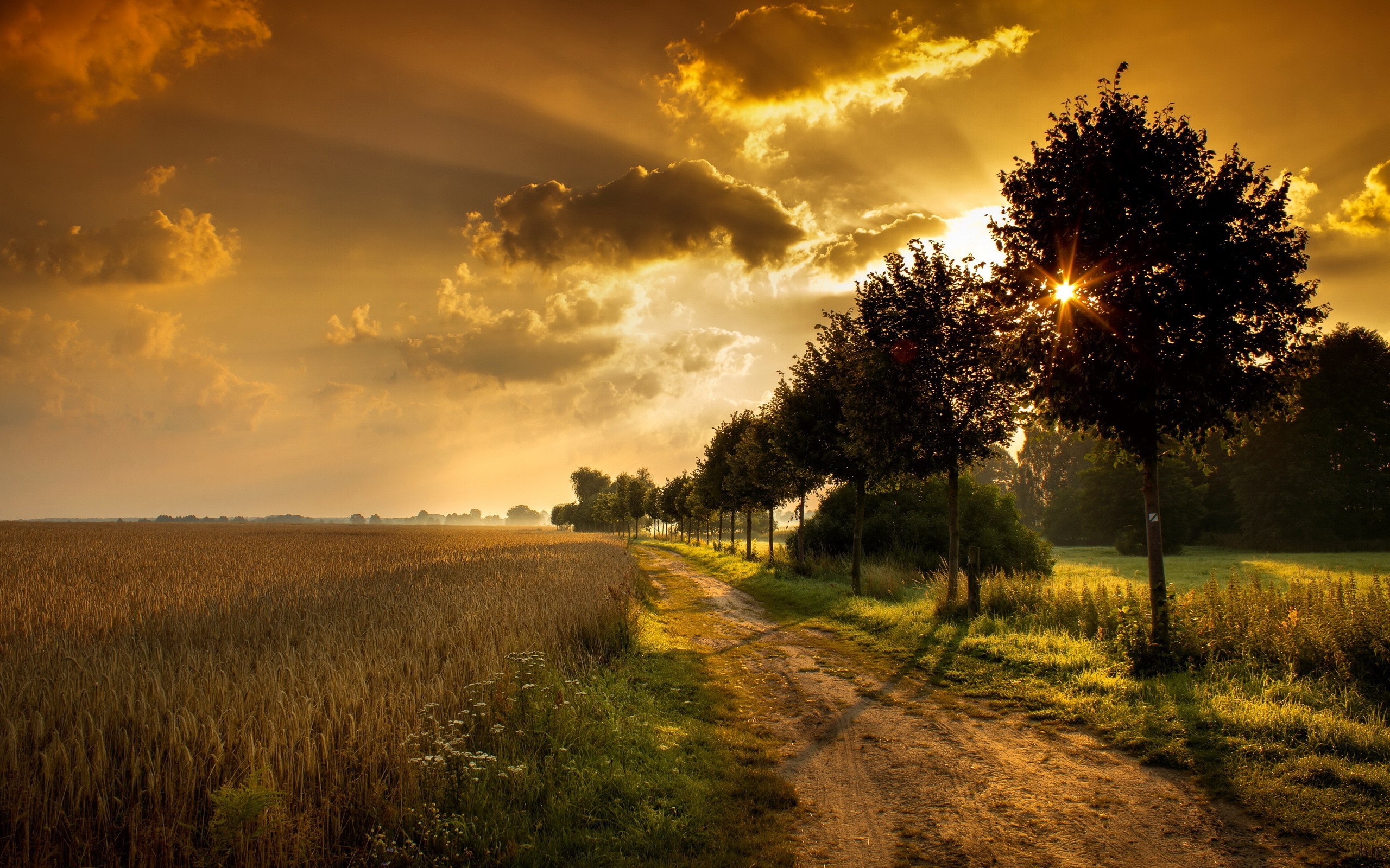 Sunset Over Field Wallpapers