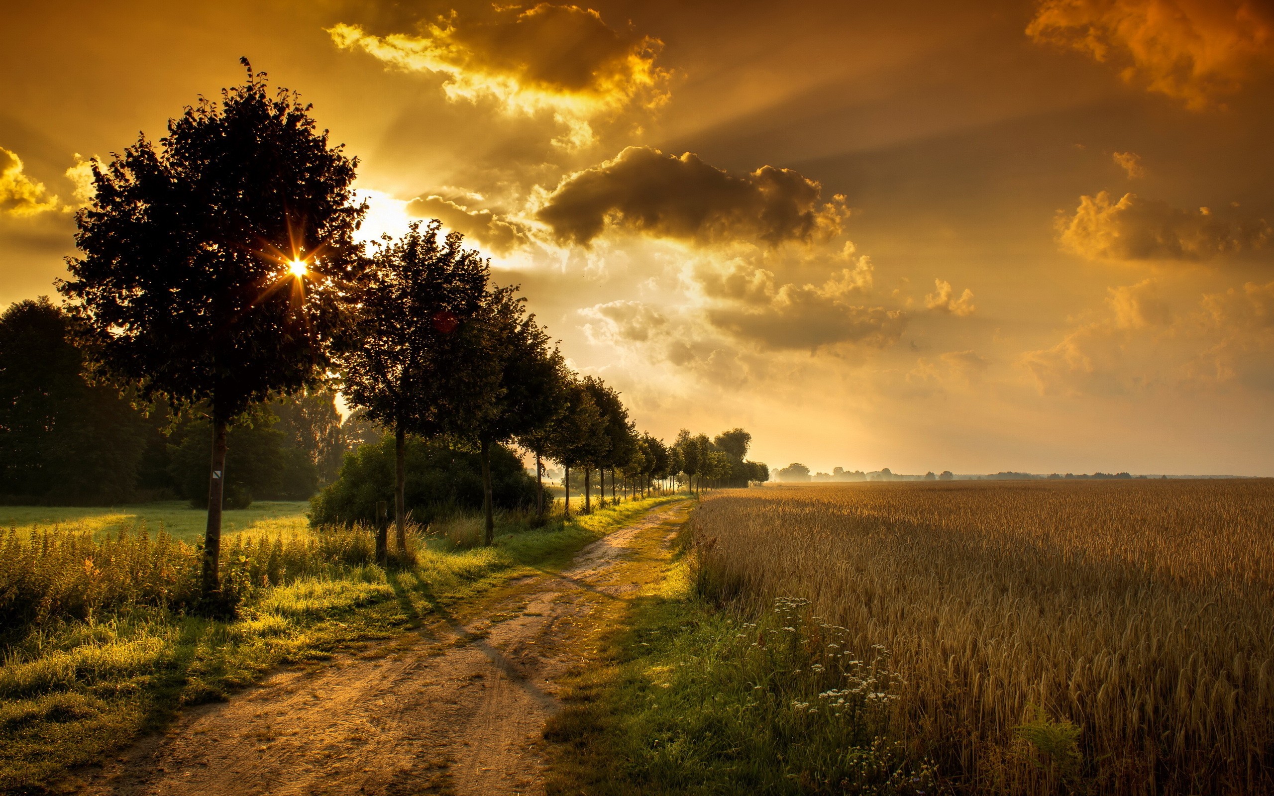 Sunset Over Field Wallpapers