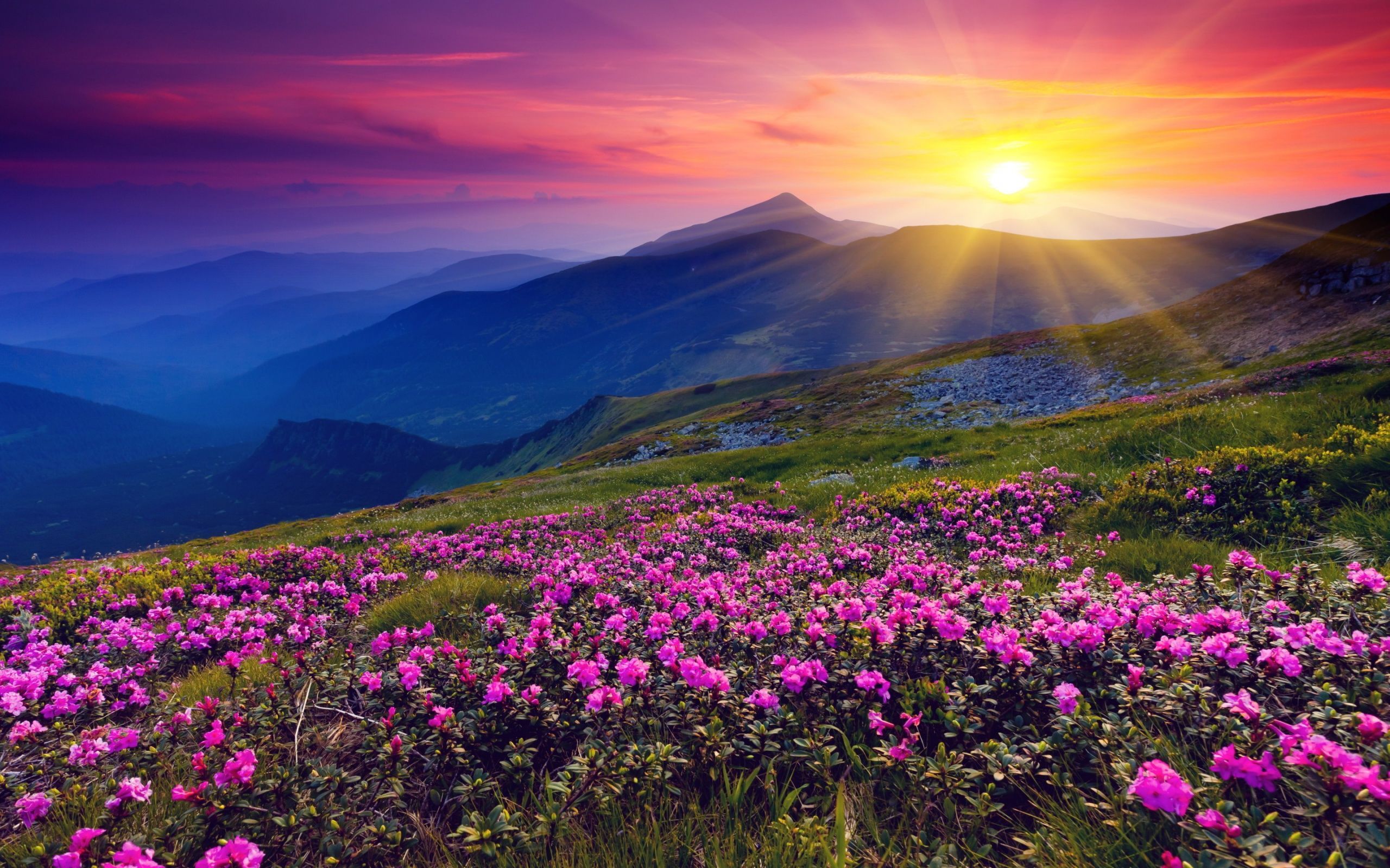 Sunset Over Mountain Field Wallpapers