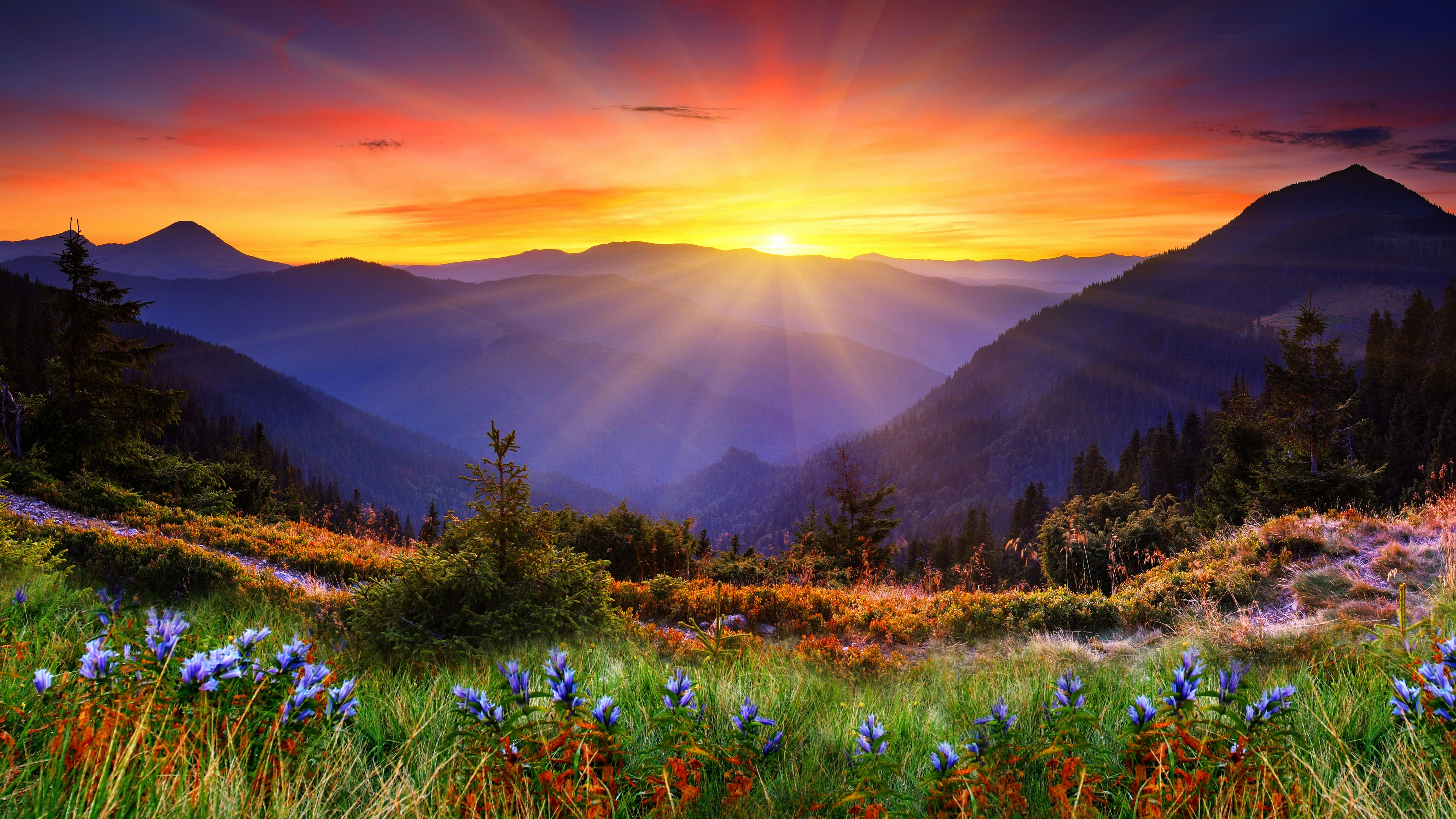 Sunset Over Mountain Field Wallpapers