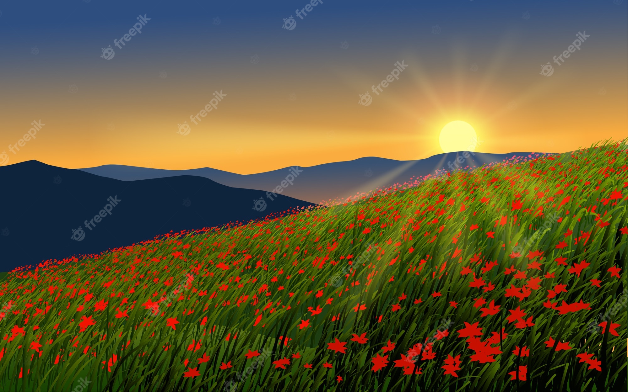Sunset Over Mountain Field Wallpapers