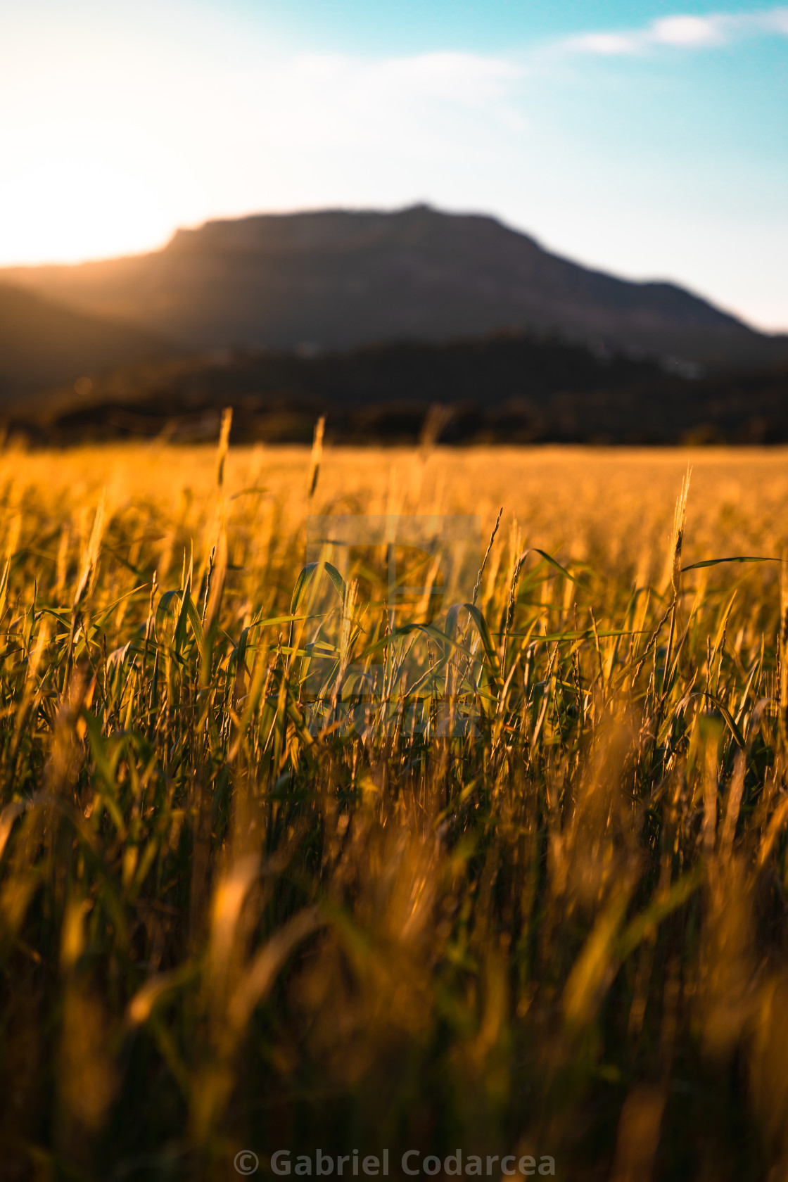 Sunset Over Mountain Field Wallpapers