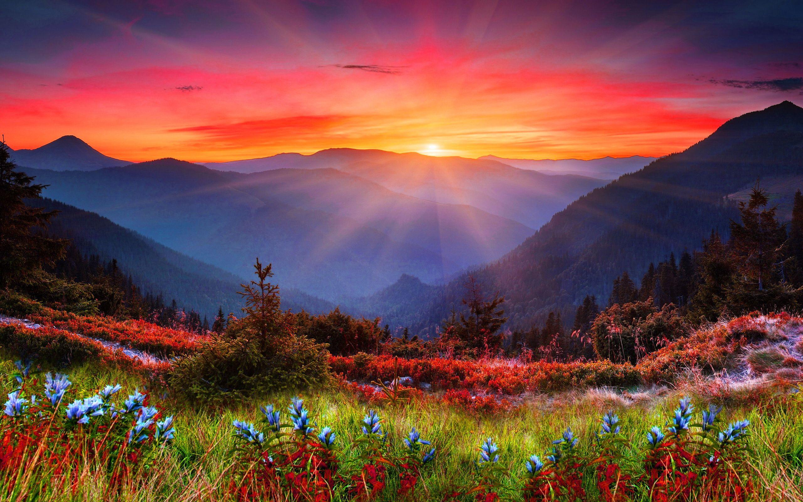 Sunset Over Mountain Field Wallpapers
