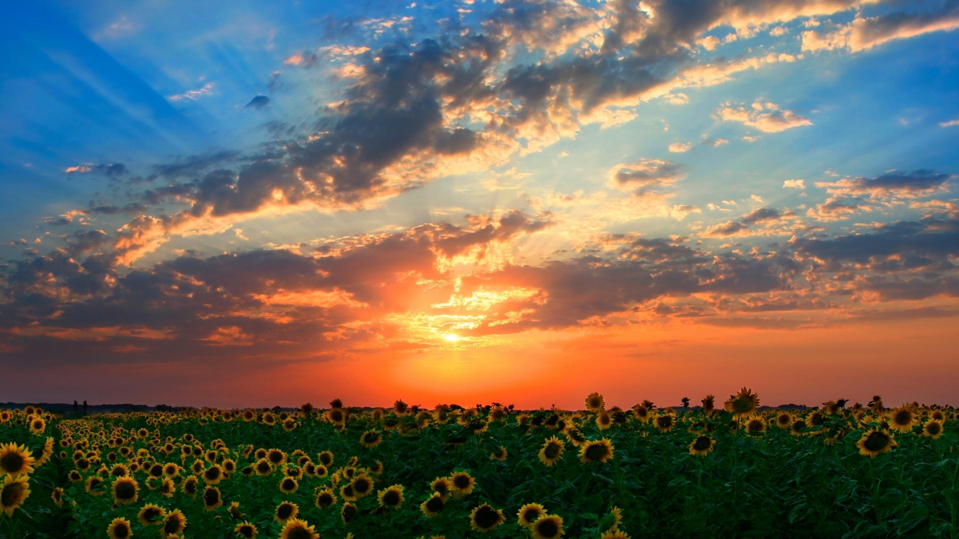 Sunset Over Mountain Field Wallpapers