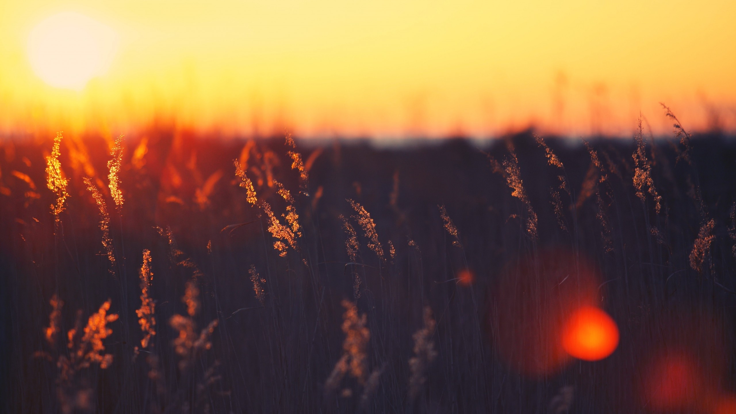 Sunset Photography 6K Wallpapers