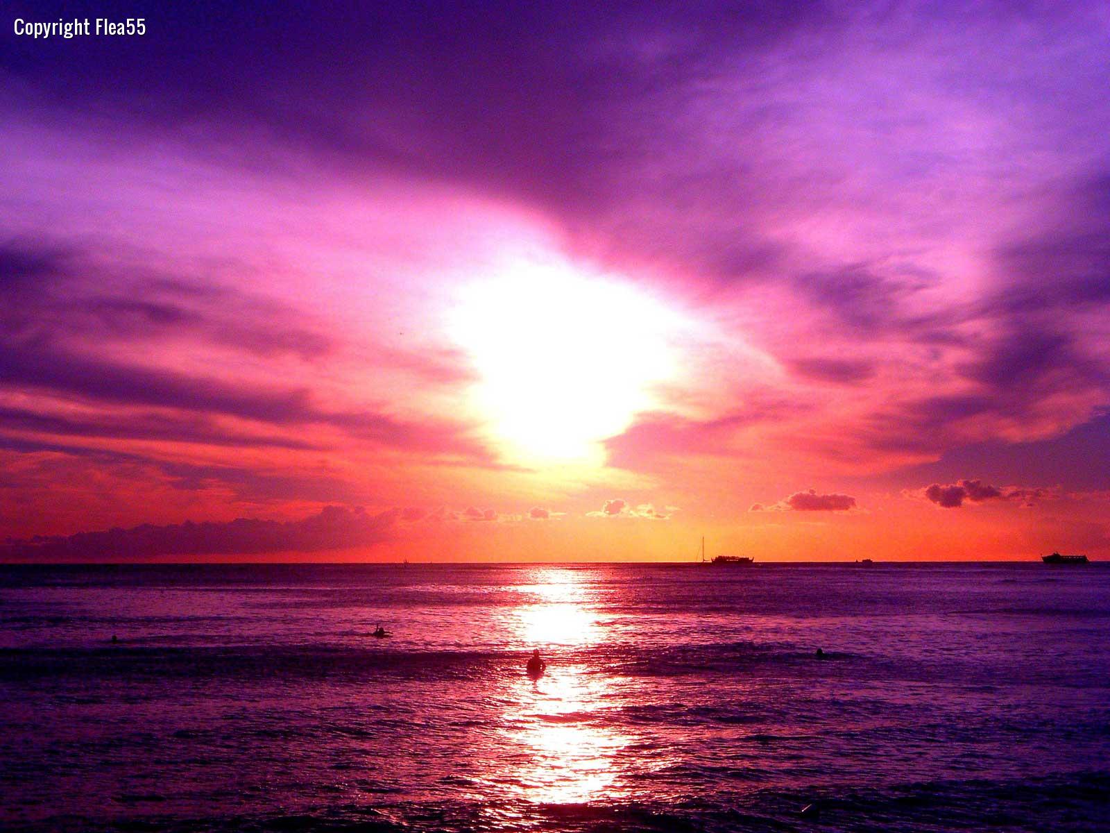 Sunset Purple Ocean Wallpapers