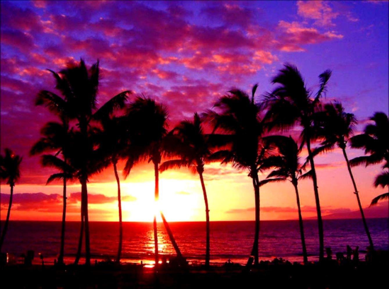 Sunset Purple Ocean Wallpapers