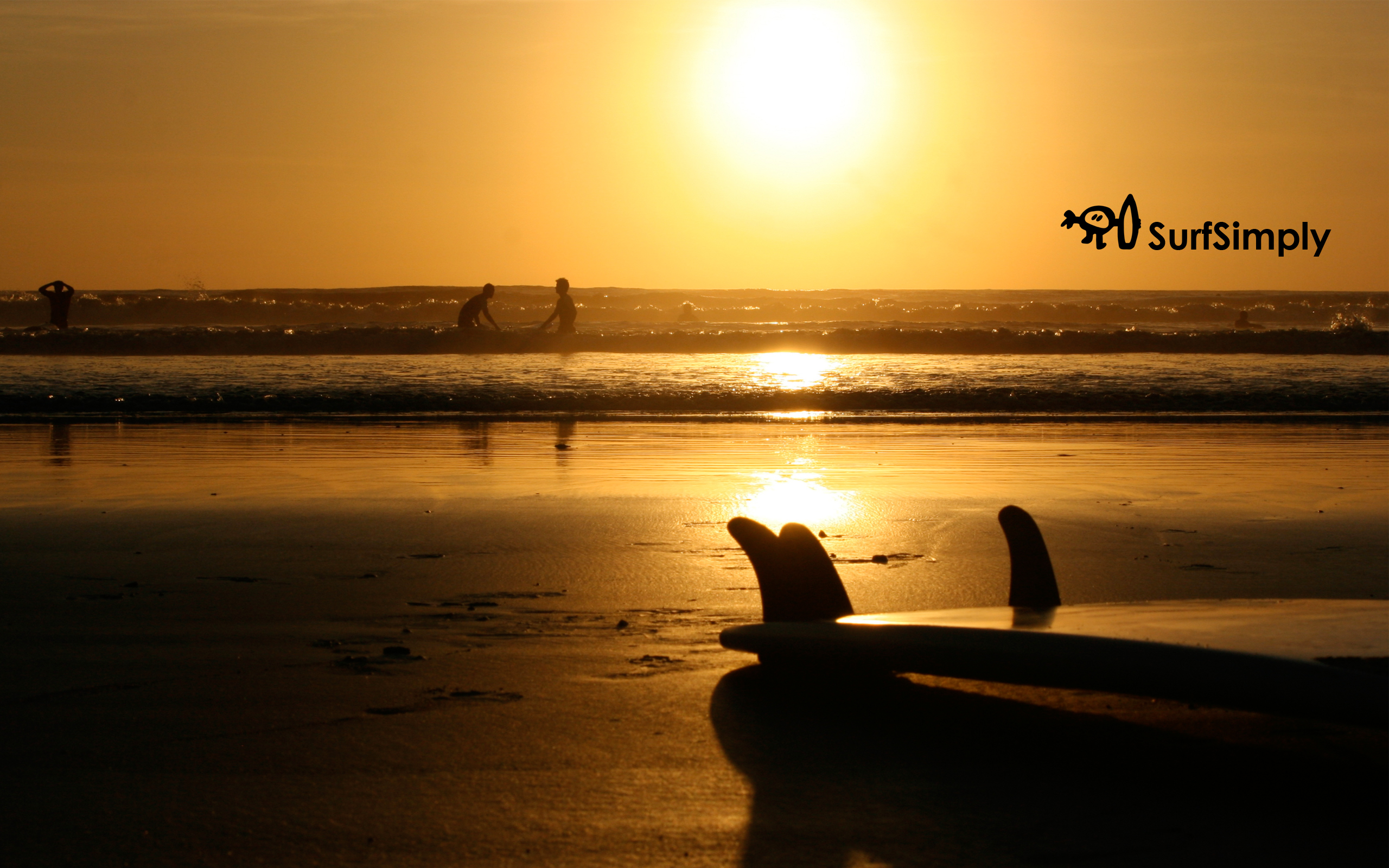 Sunset Surfing Wallpapers