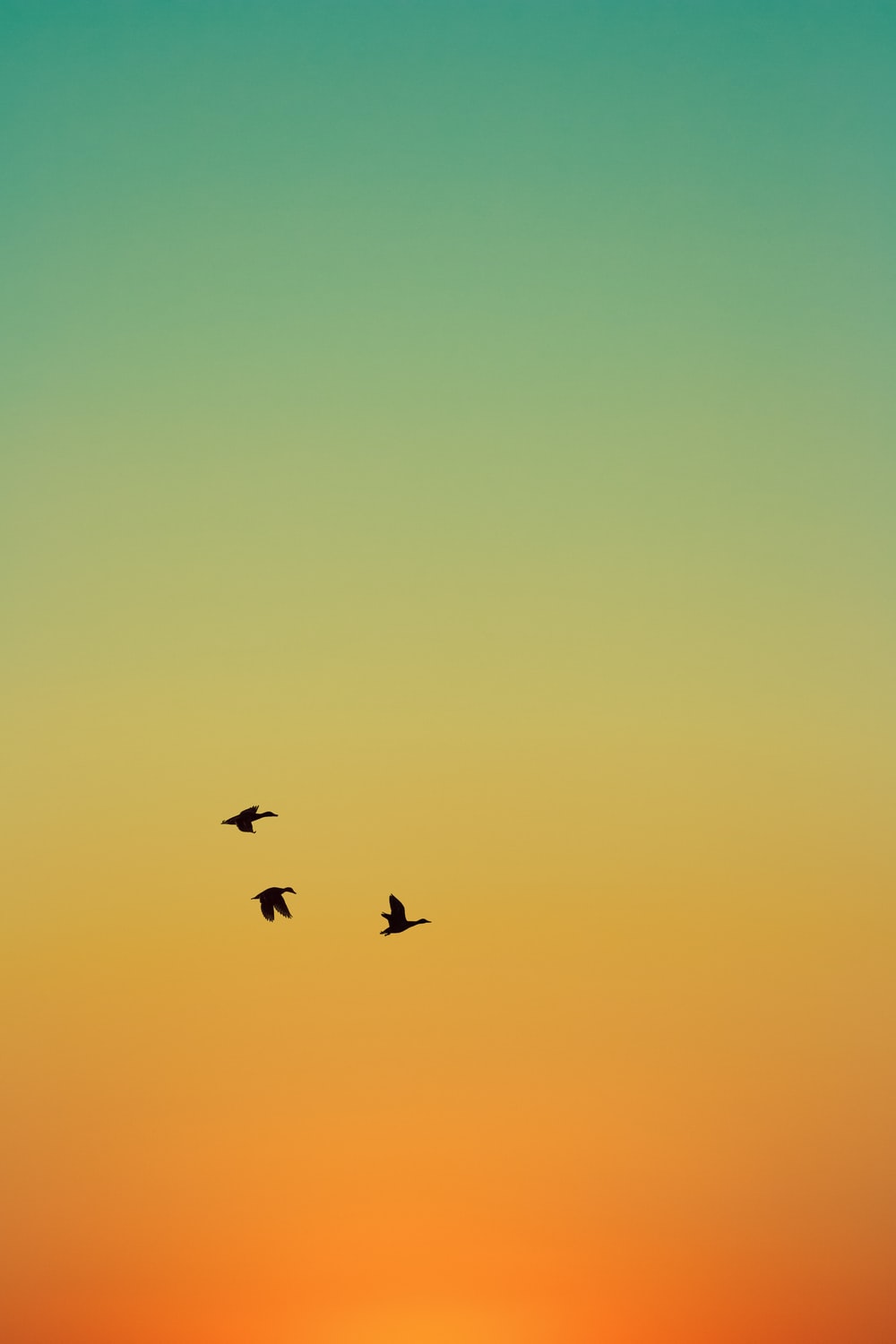 Sunset Tumbler Wallpapers