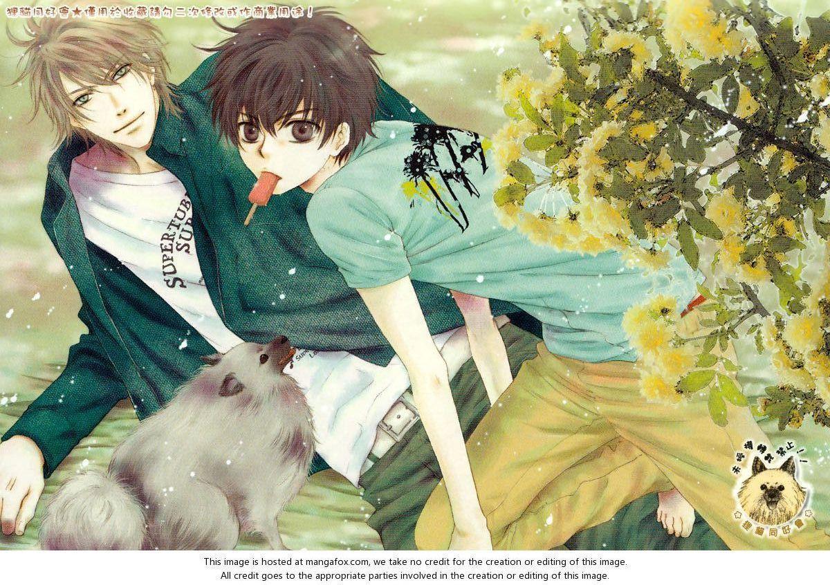 Super Lovers Wallpapers