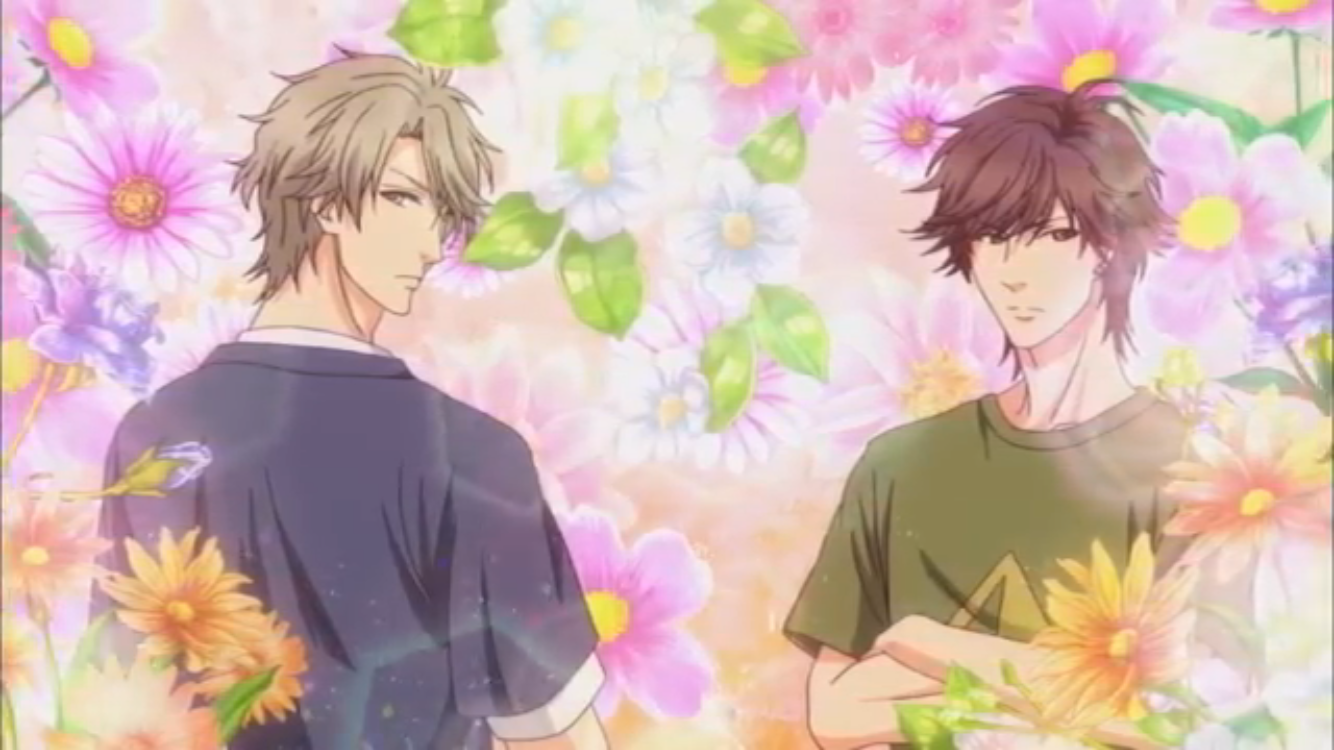 Super Lovers Wallpapers