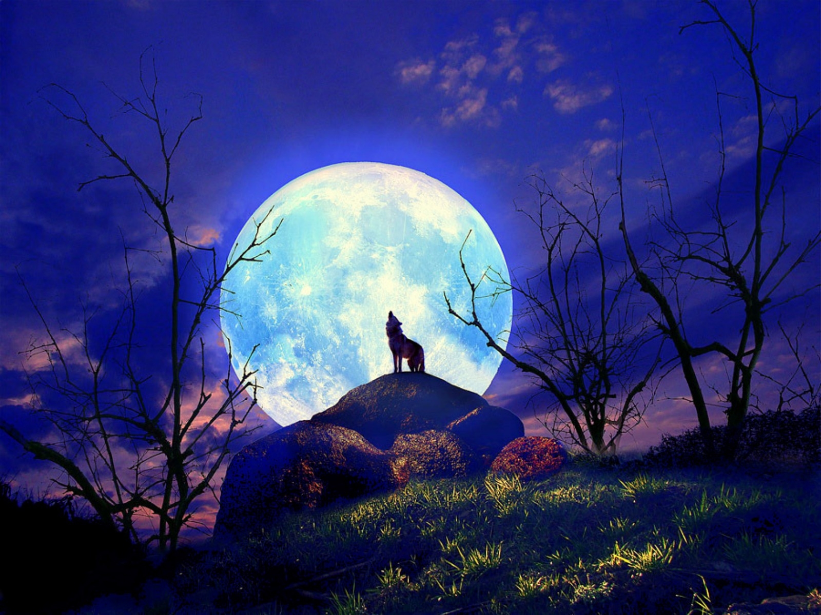 Super Moon Wallpapers