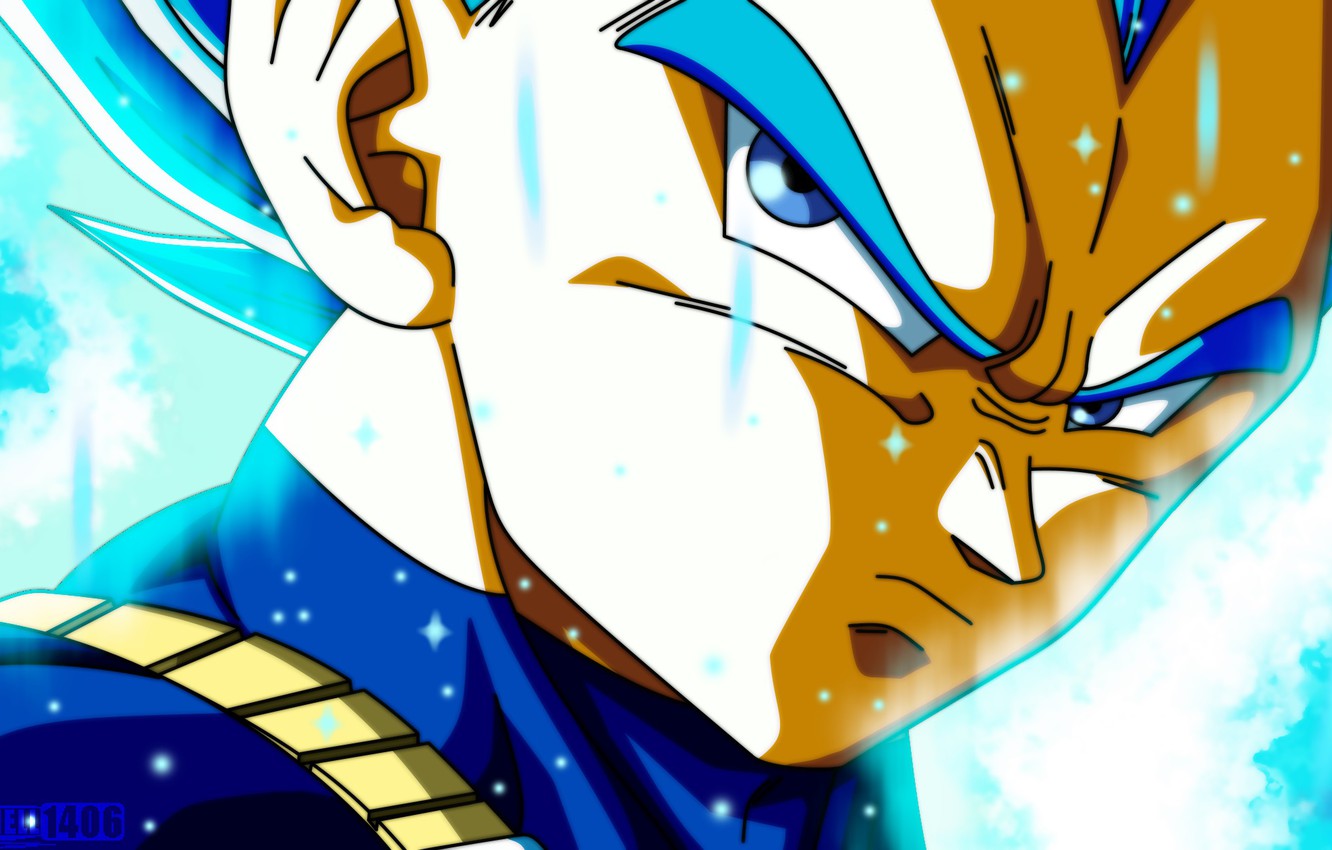 Super Saiyan Blue Vegeta Wallpapers