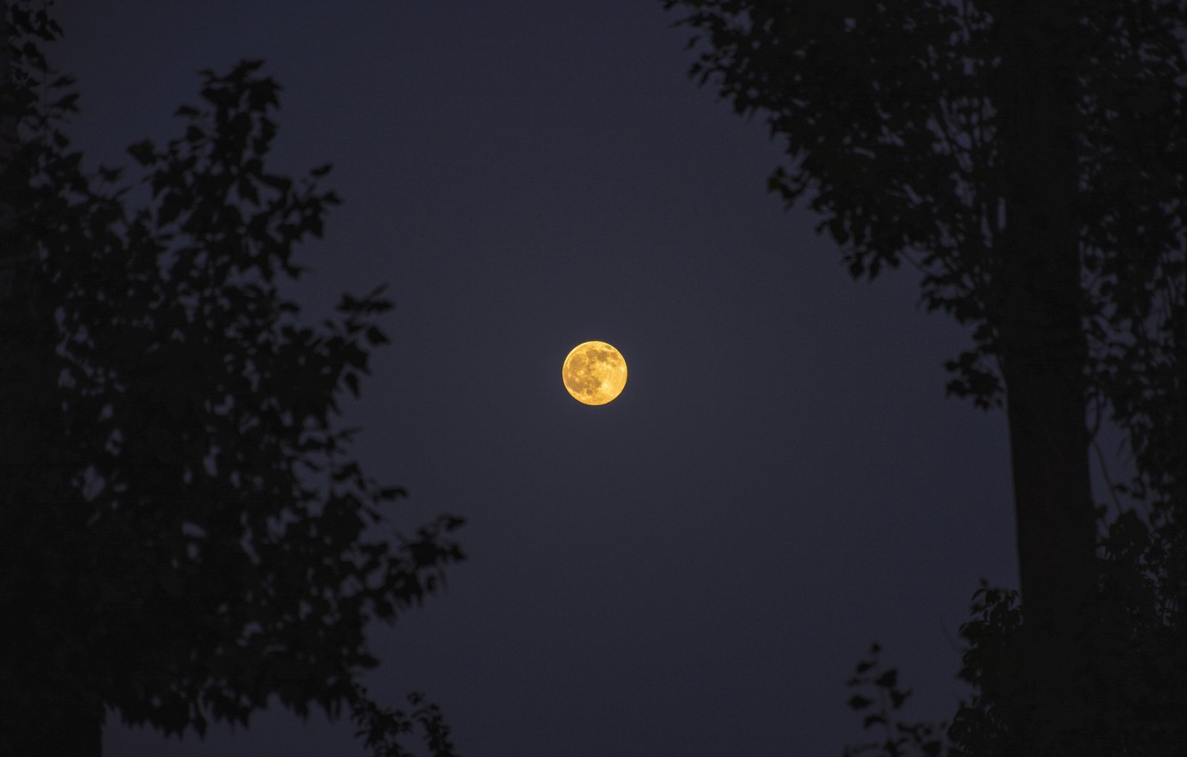 Supermoon Wallpapers