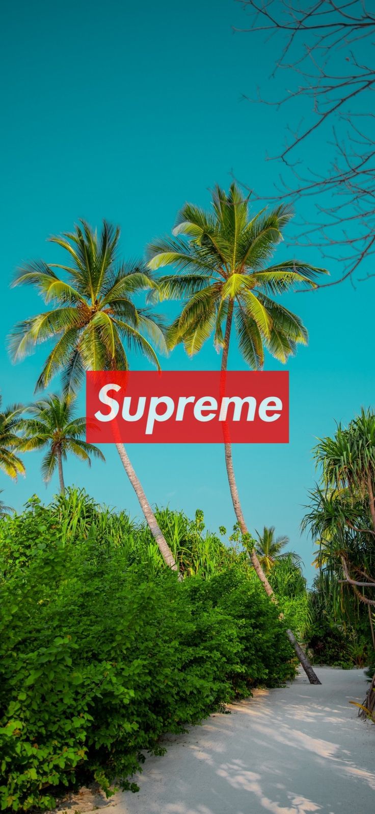 Supreme Beach Wallpapers