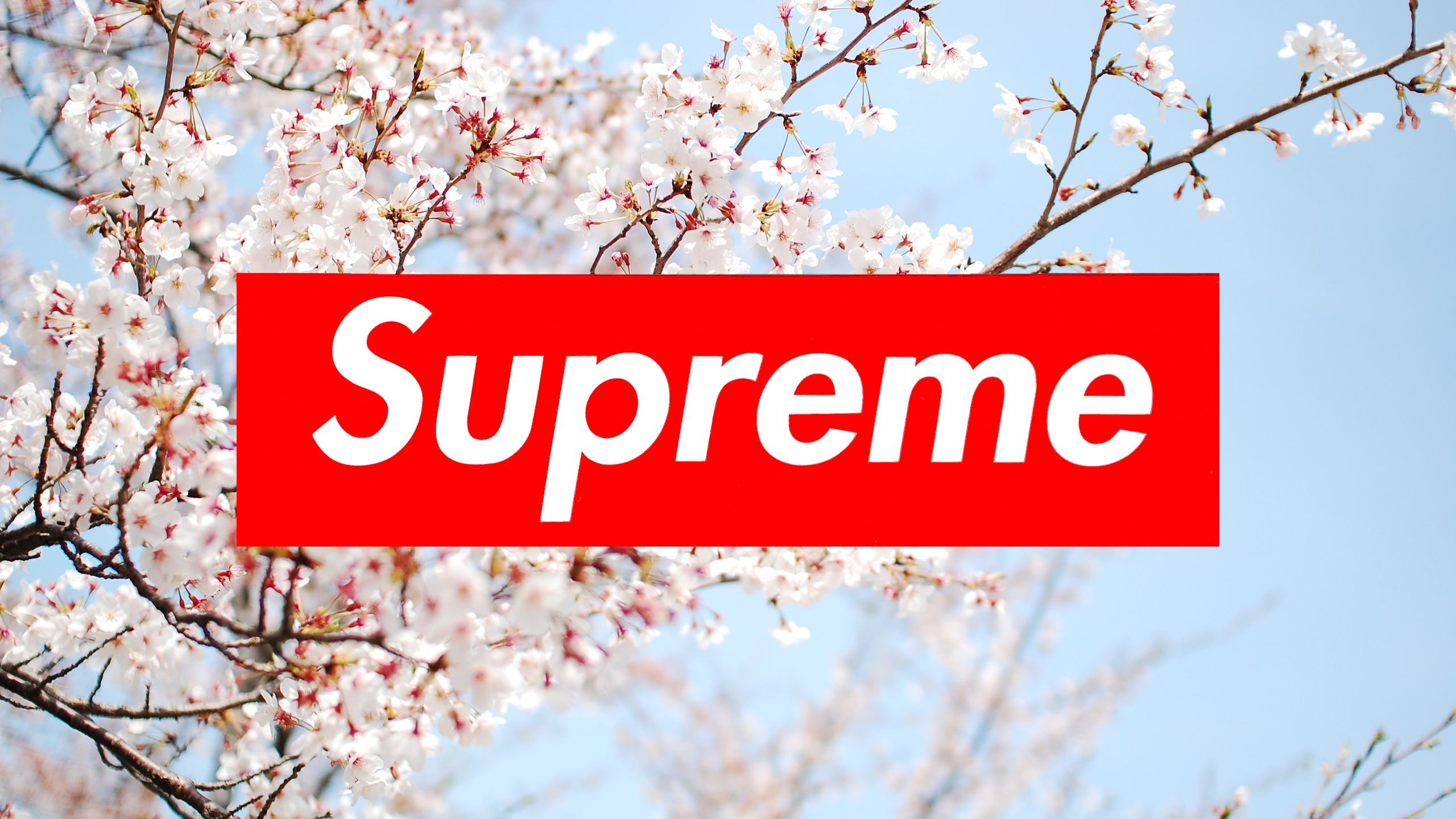 Supreme Laptop Wallpapers