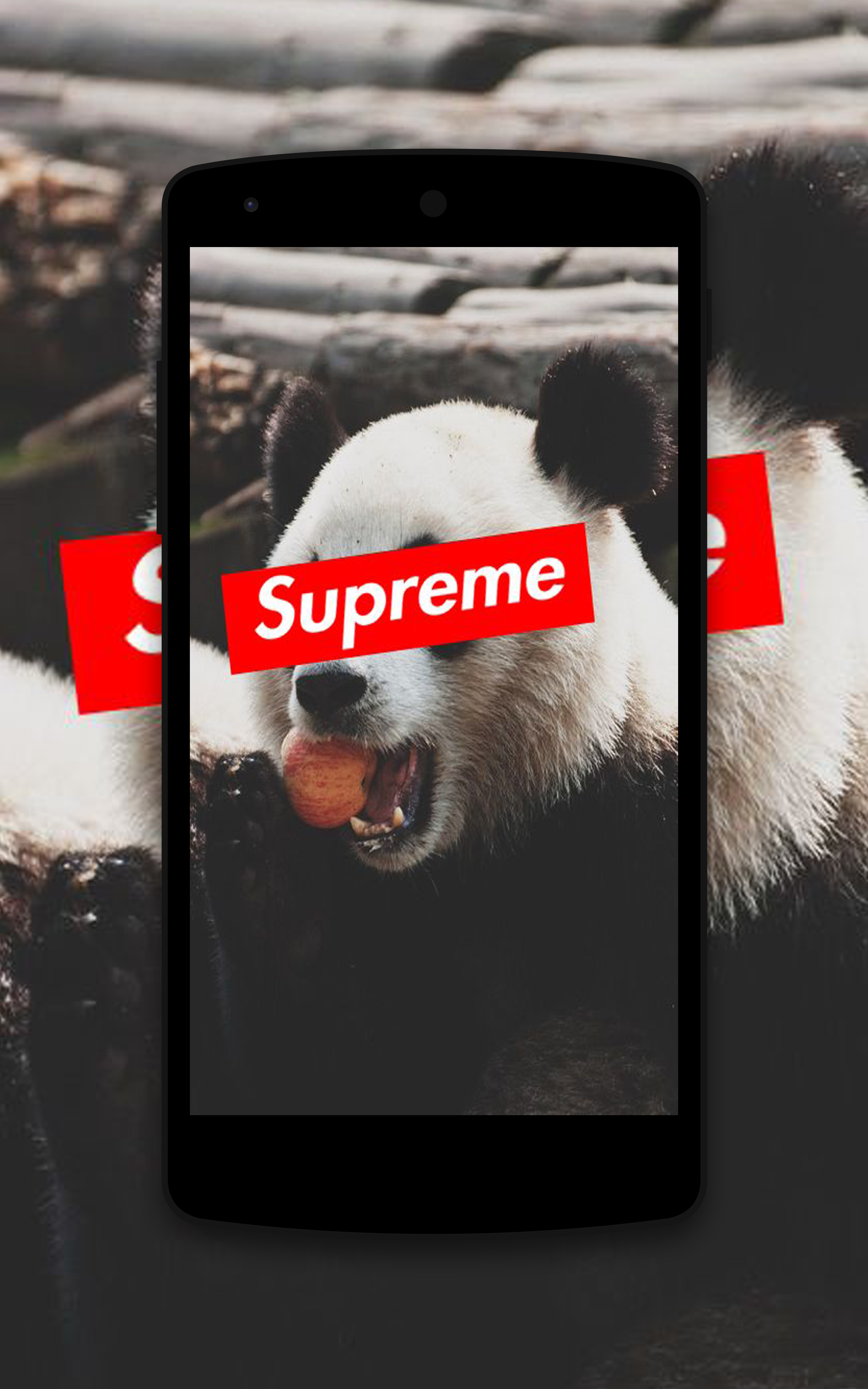 Supreme Panda Wallpapers
