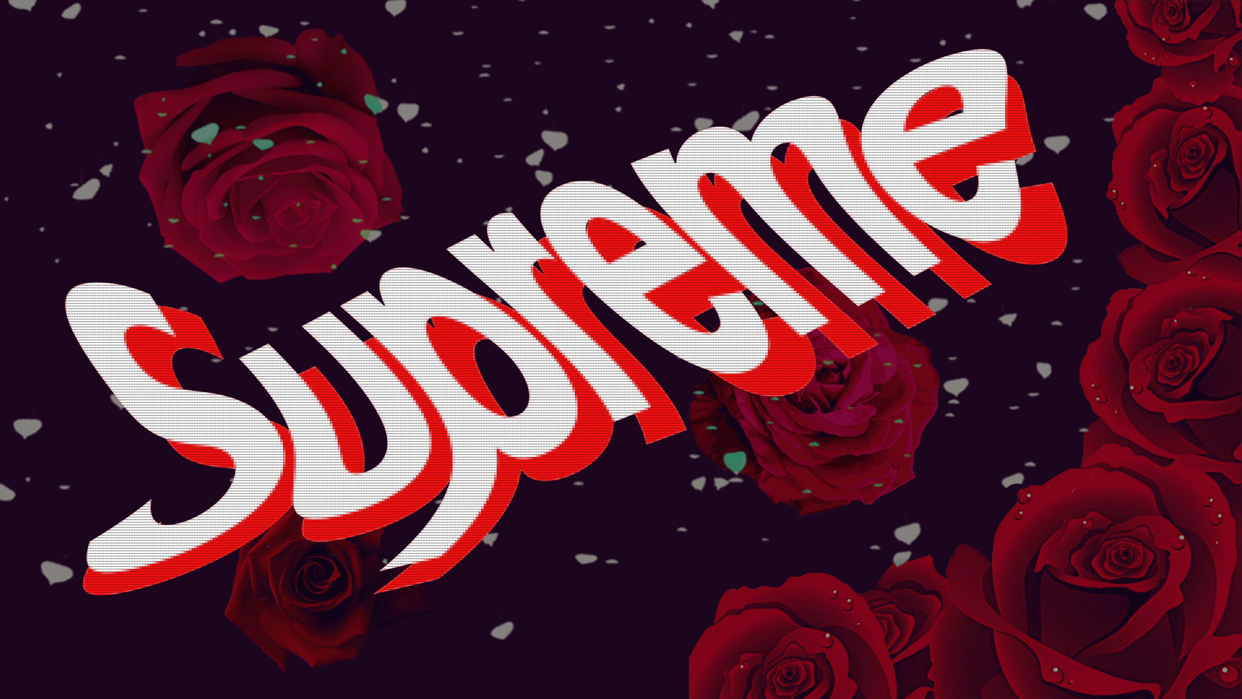 Supreme Rose Wallpapers