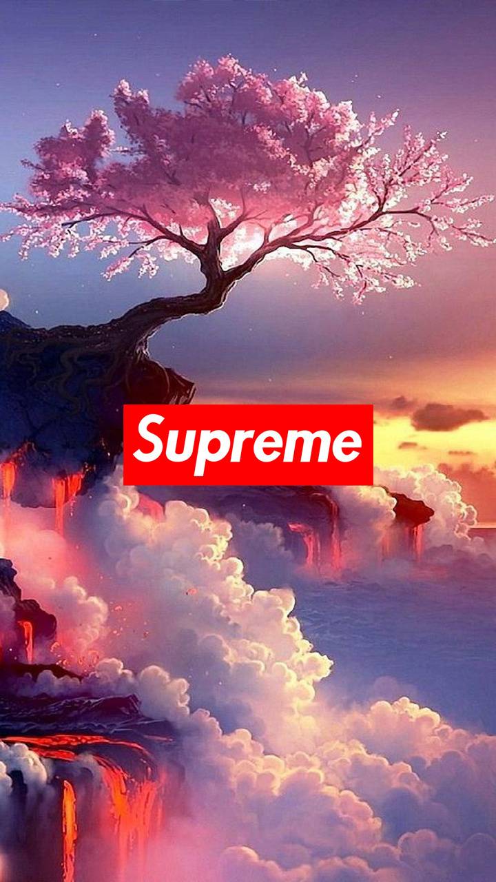 Supreme Skateboard Wallpapers