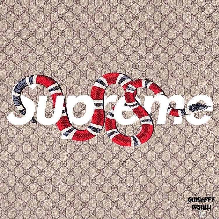 Supreme Snake Wallpapers