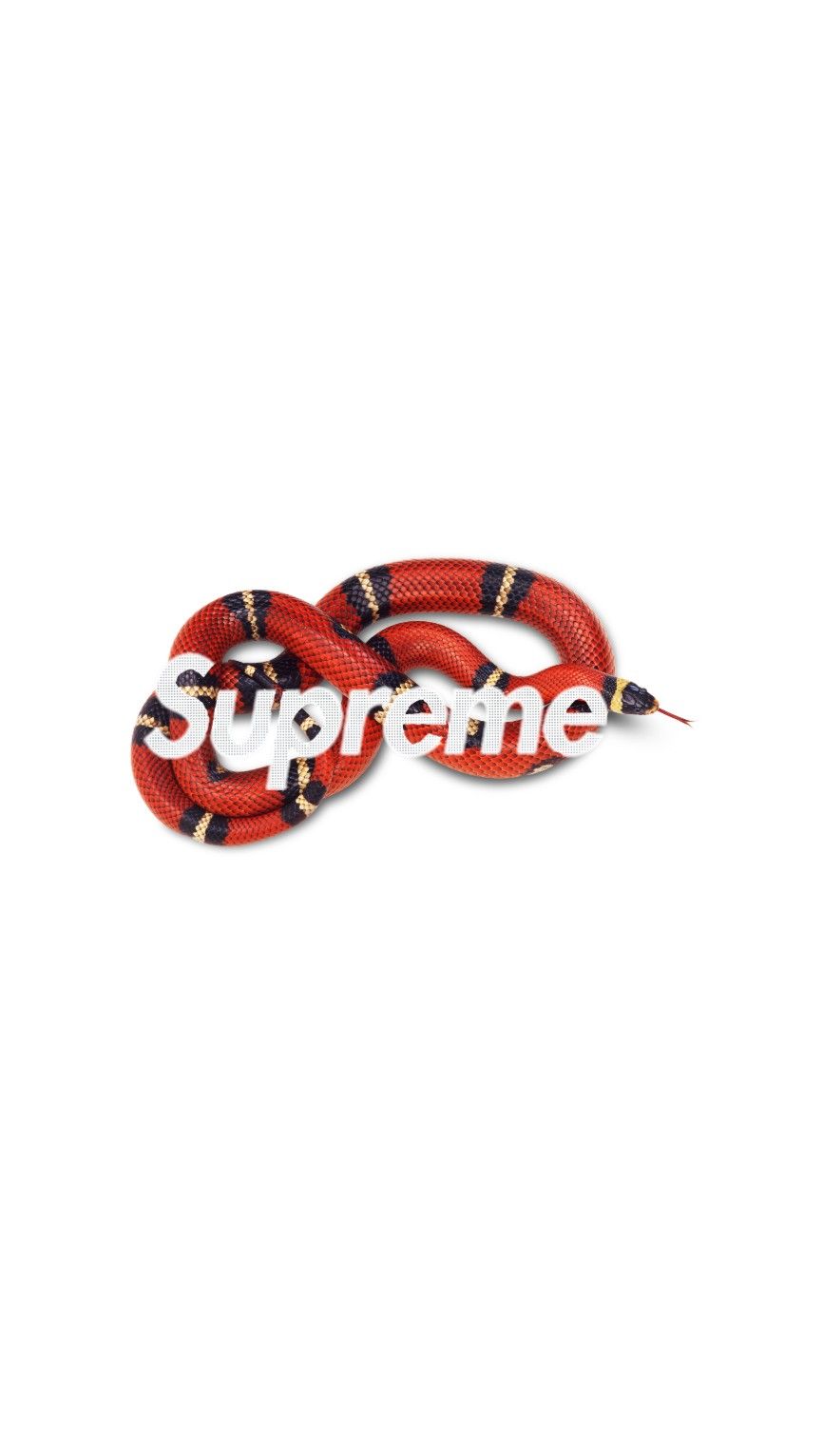 Supreme Snake Wallpapers