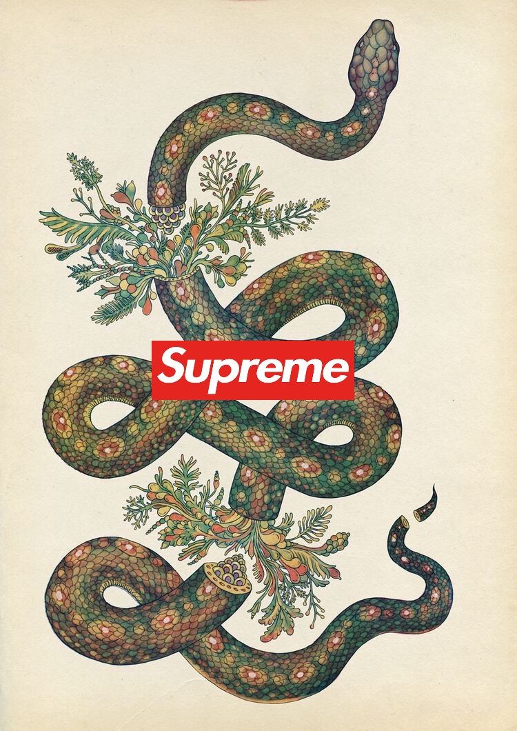 Supreme Snake Wallpapers