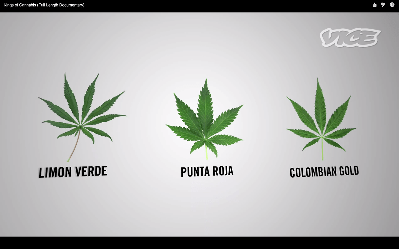 Supreme Weed Wallpapers