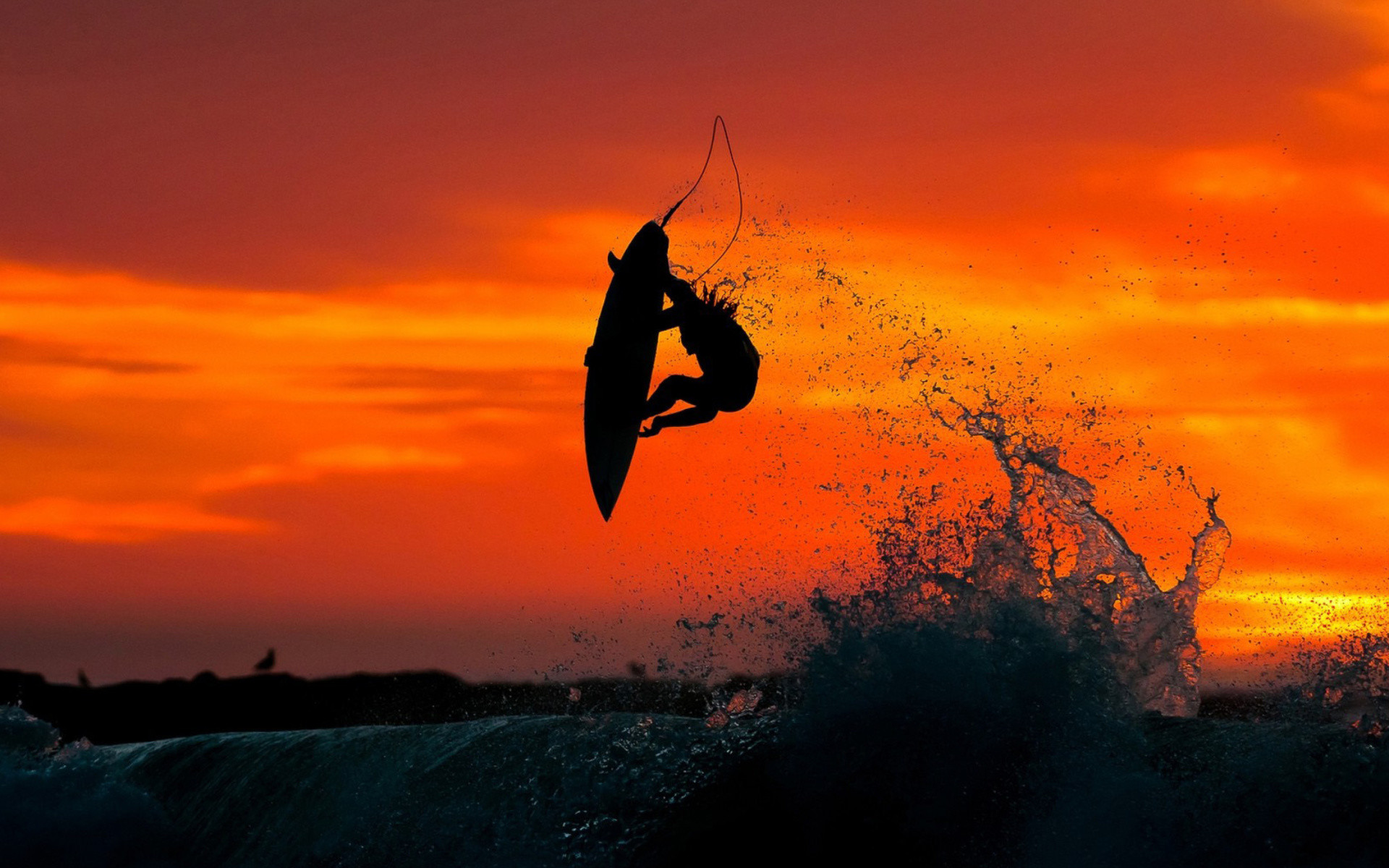 Surfer Wallpapers