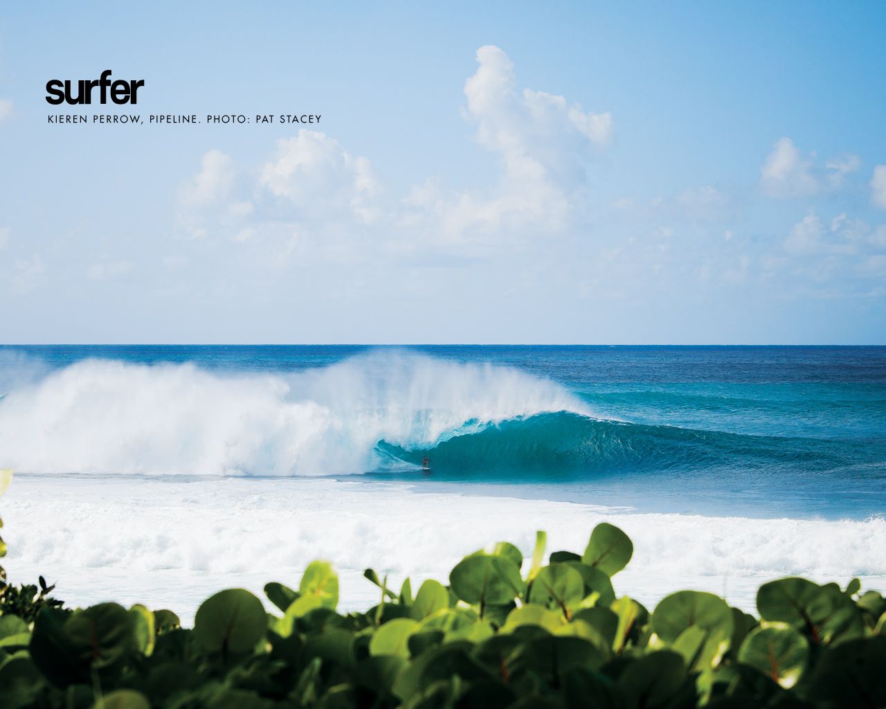 Surfermag Wallpapers