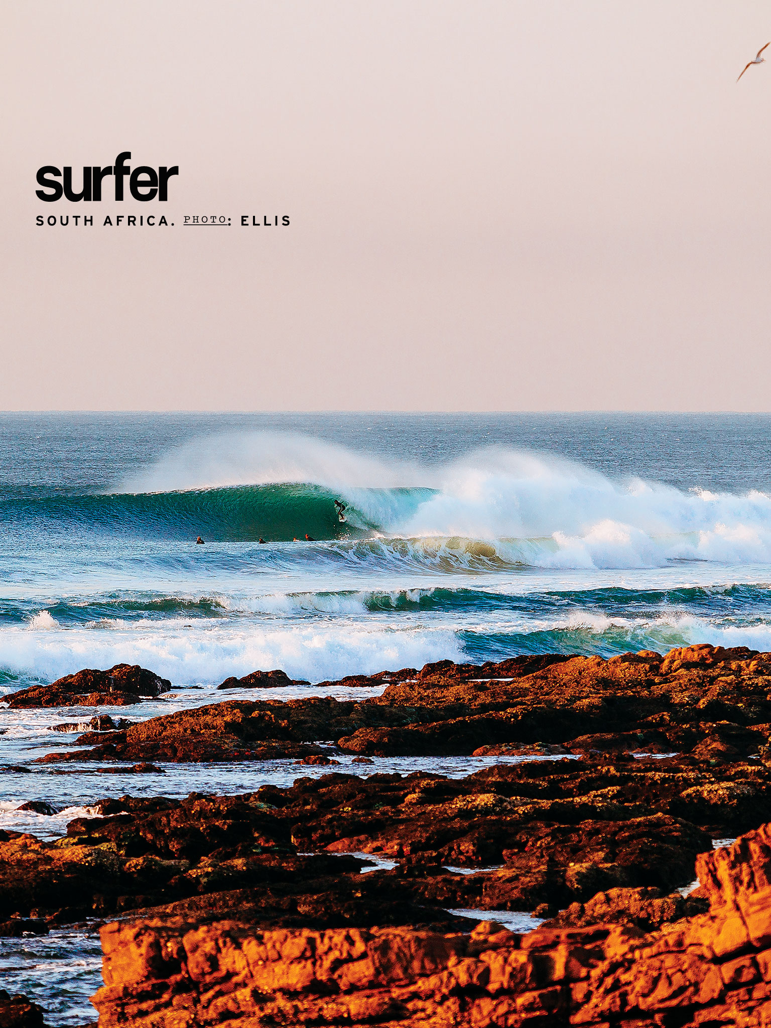 Surfermag Wallpapers