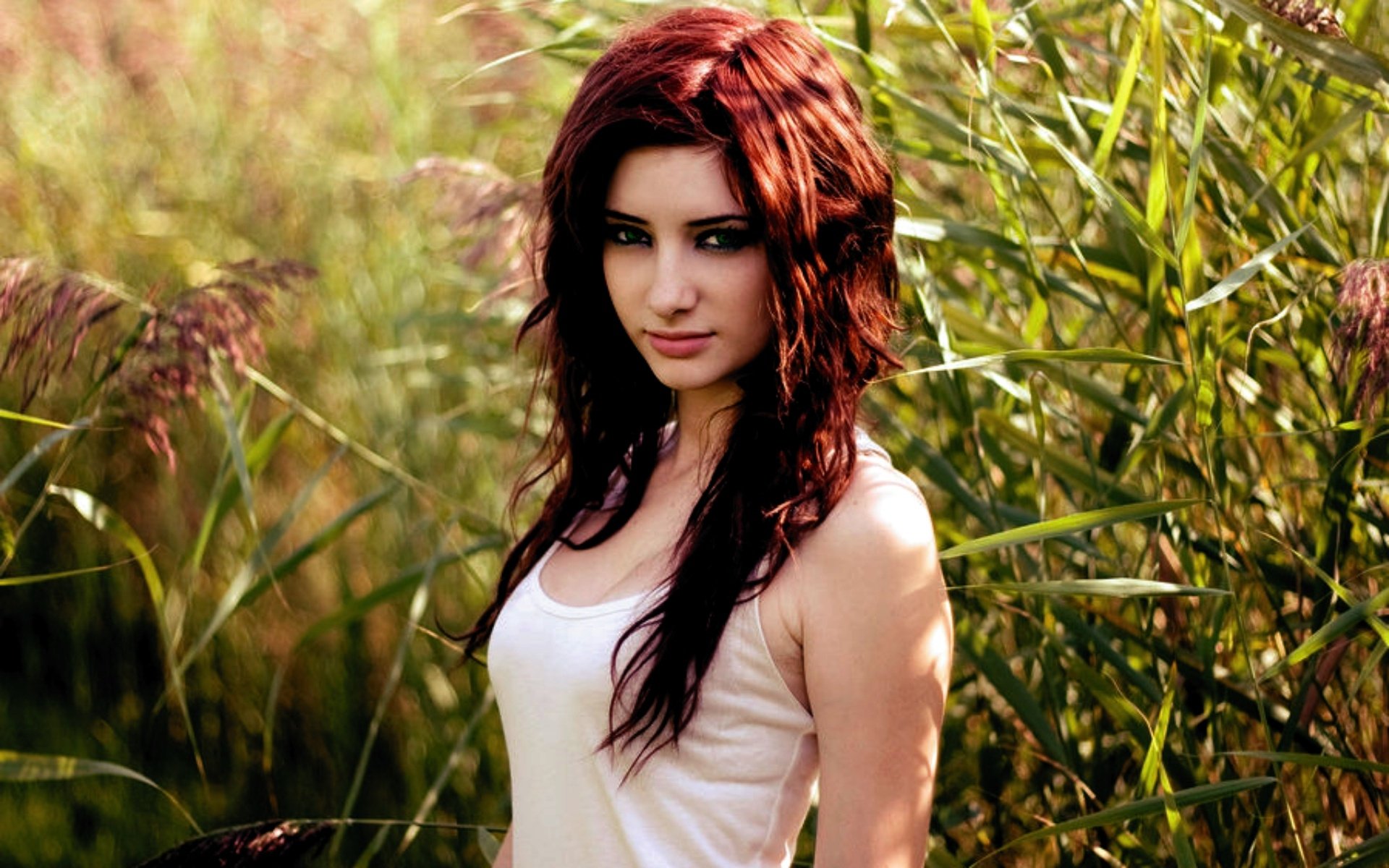 Susan Coffey Wallpapers