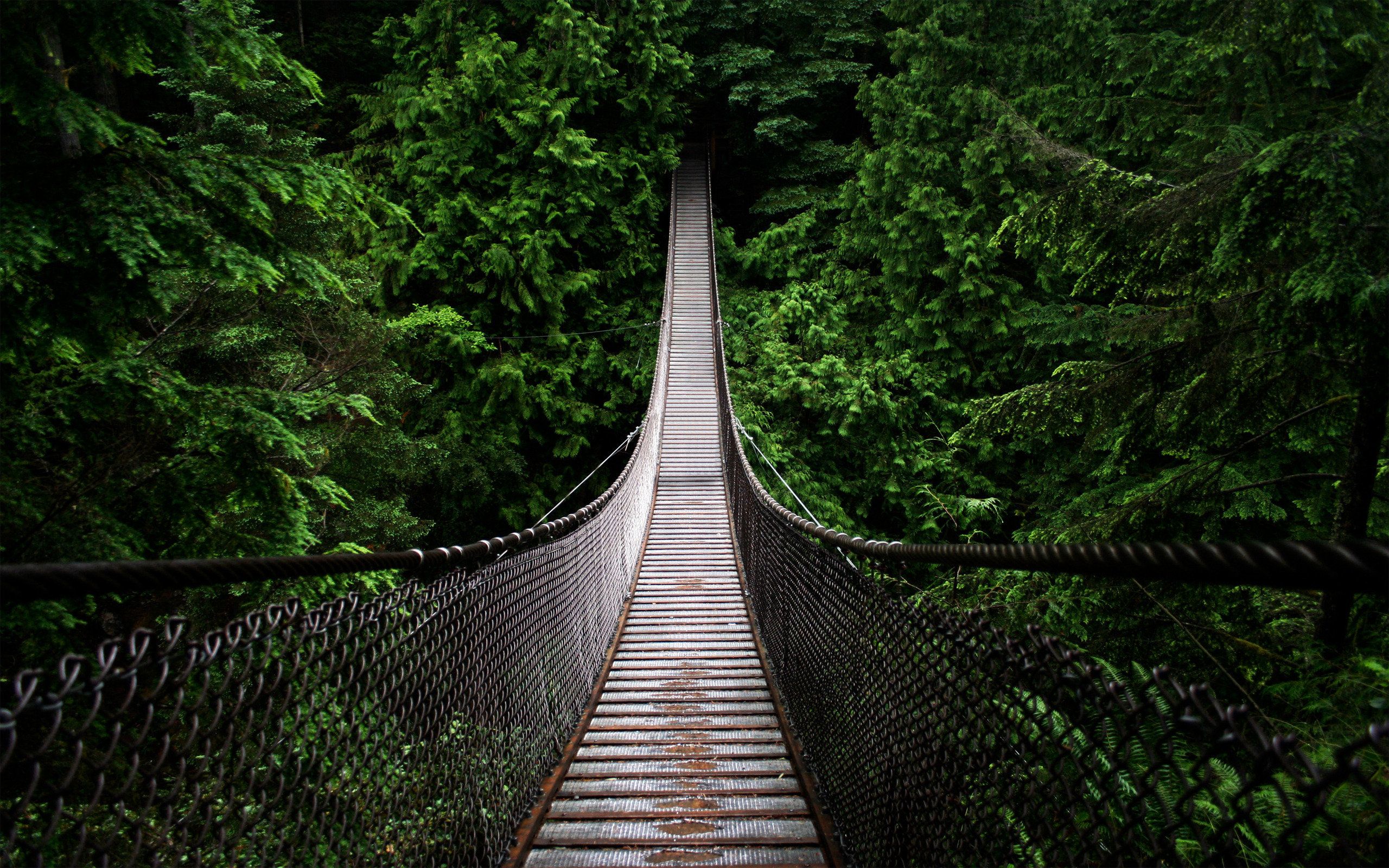 Suspension Bridge Uk England Wallpapers