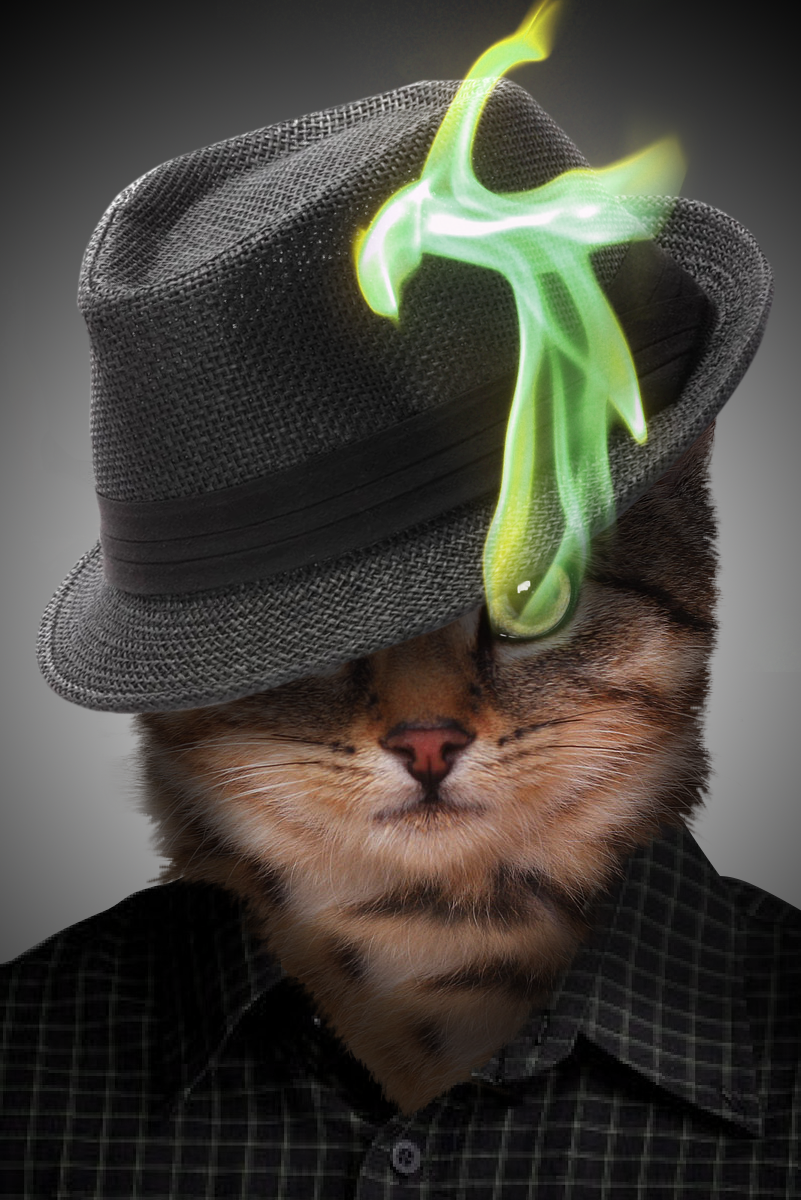 Swag Cat Wallpapers