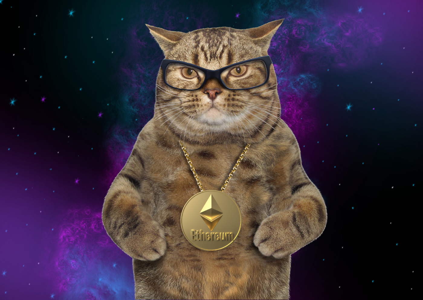 Swag Cat Wallpapers