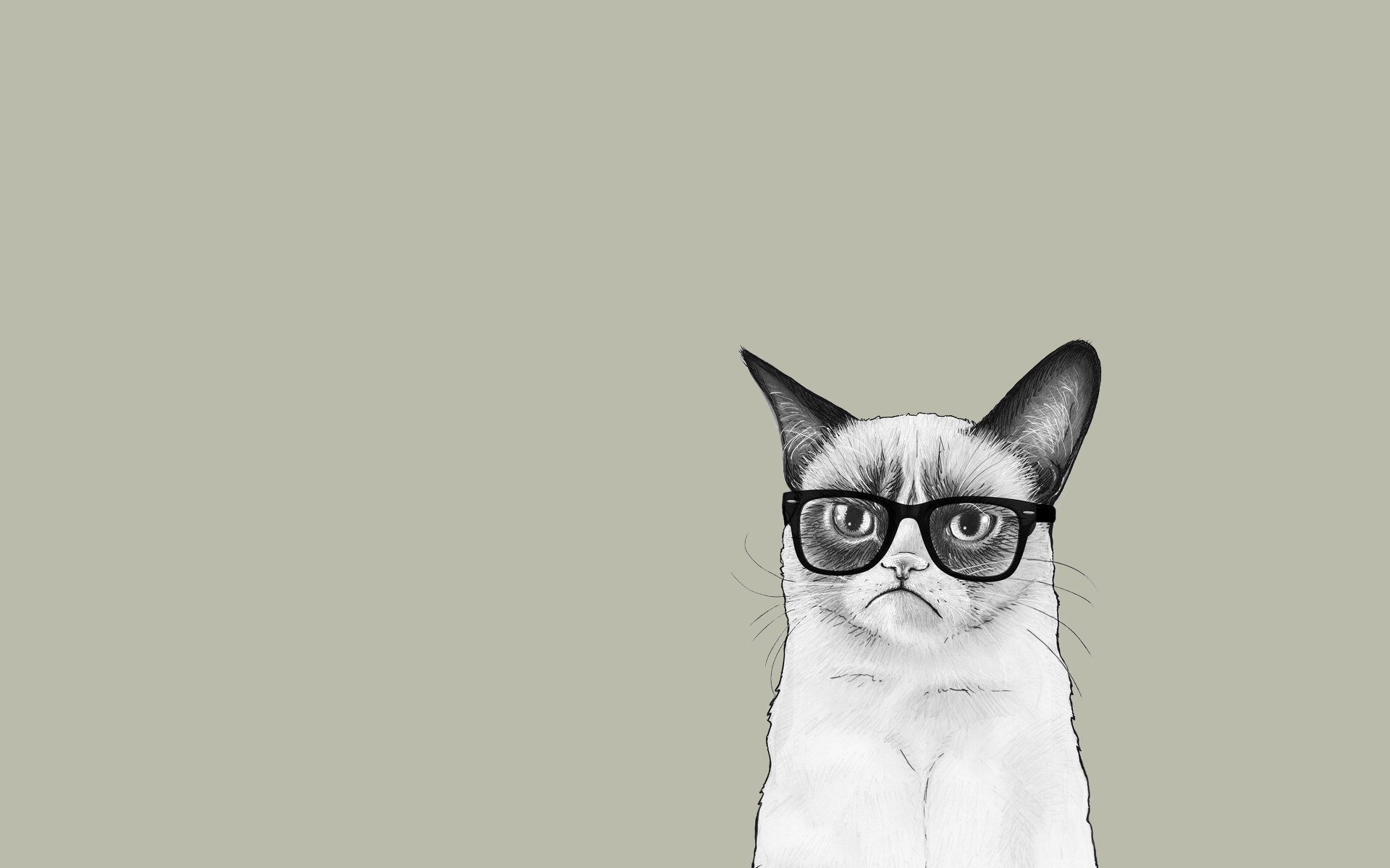 Swag Cat Wallpapers