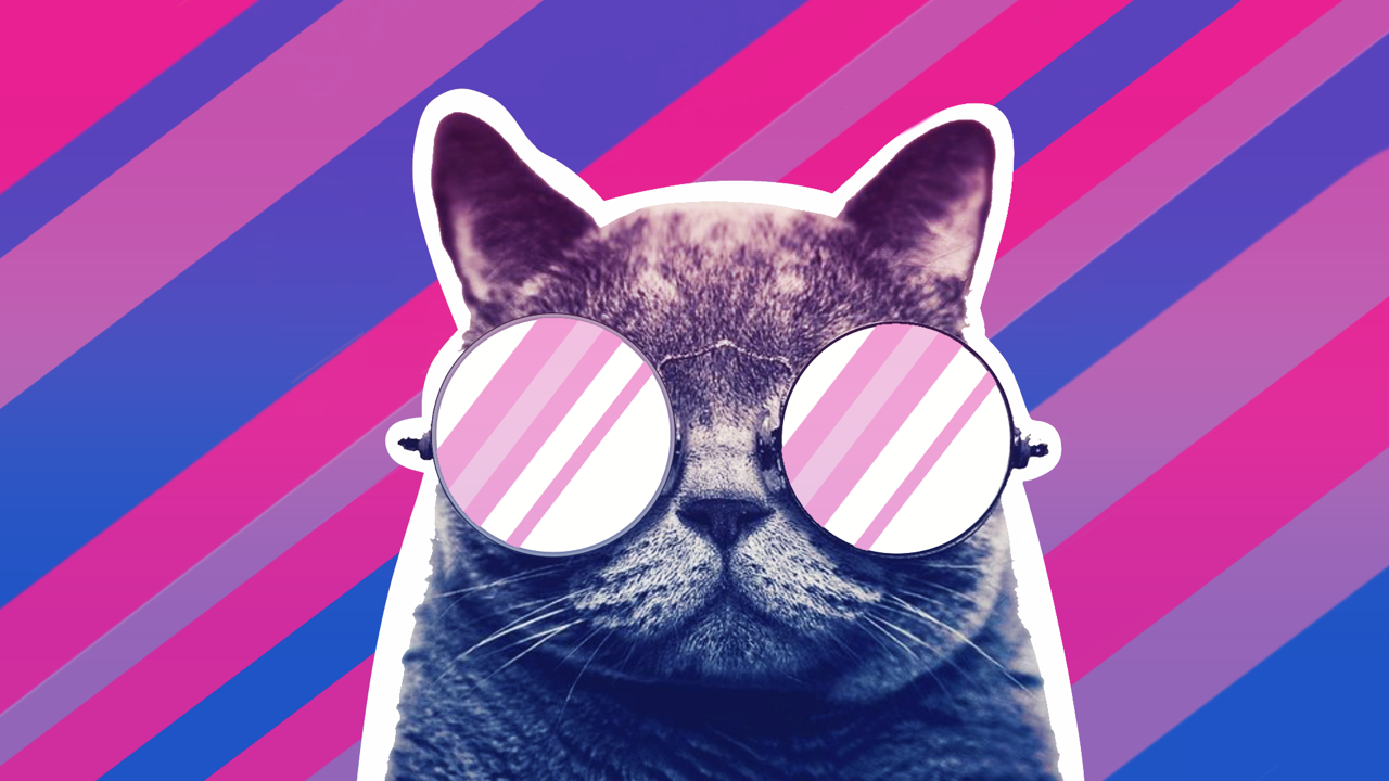 Swag Cat Wallpapers