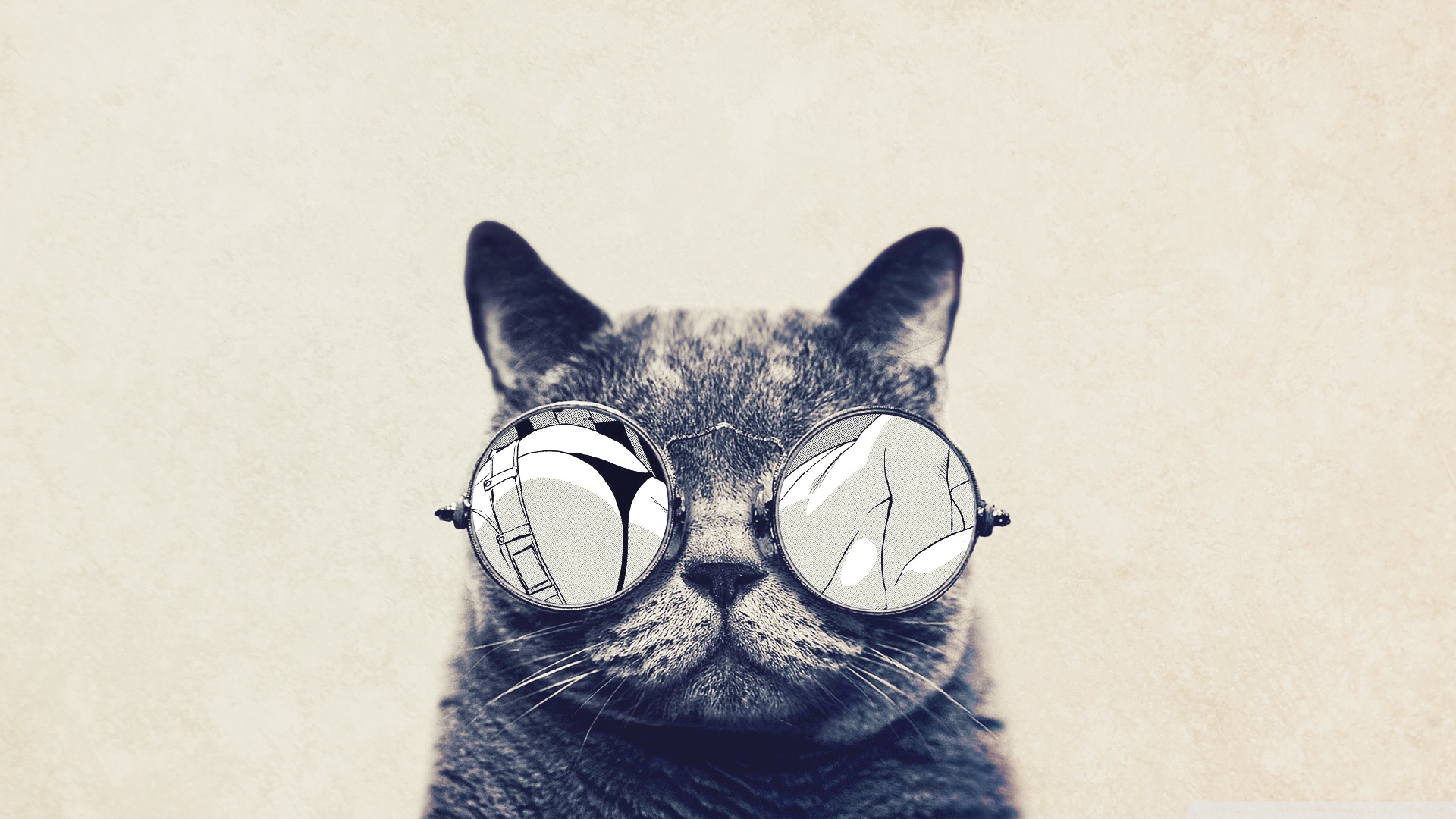 Swag Cats Wallpapers