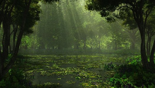 Swamp Background