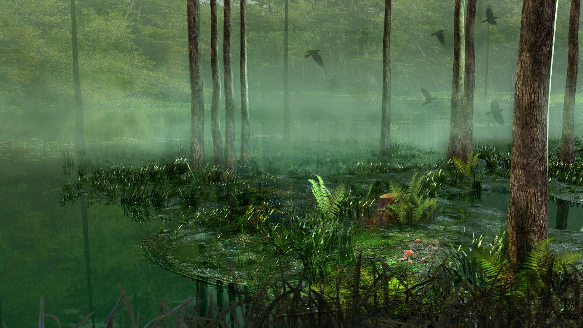 Swamp Background