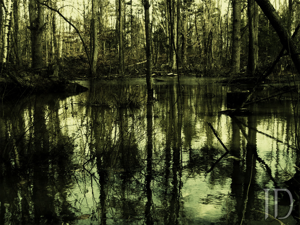 Swamp People Wallpapers