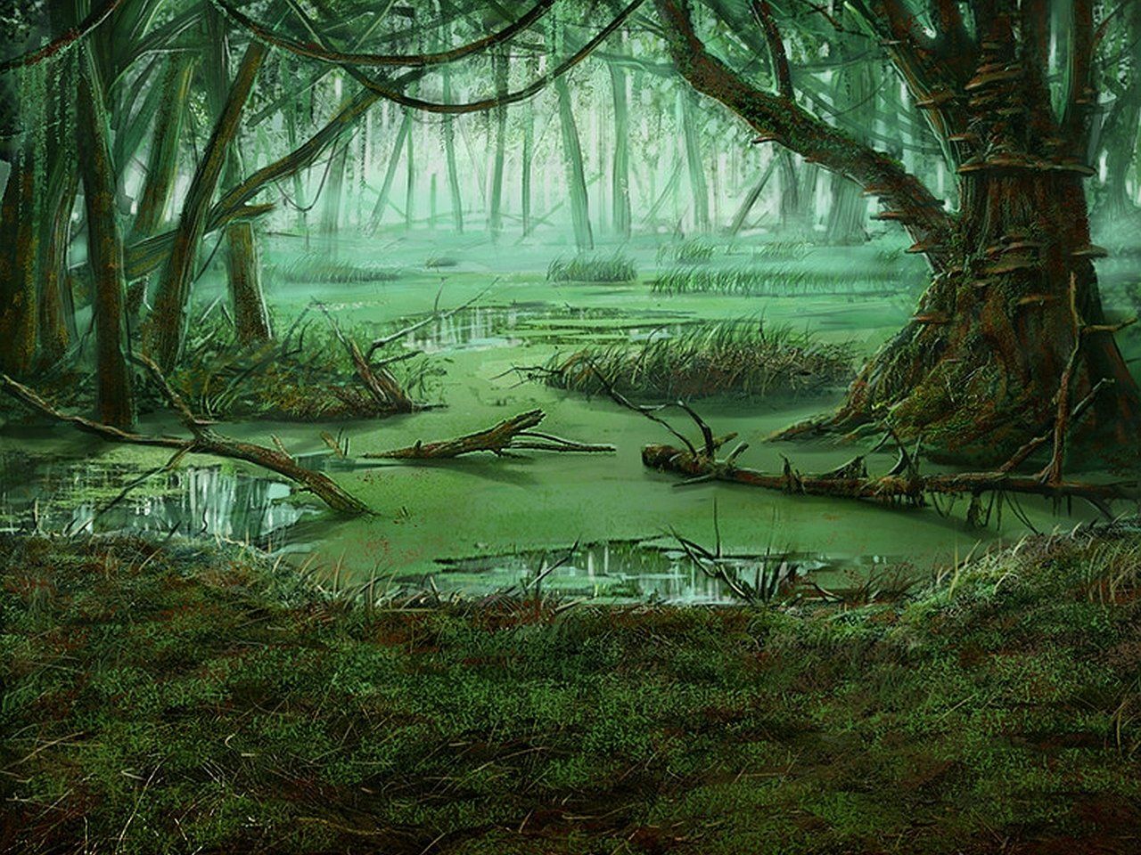Swamp Wallpapers