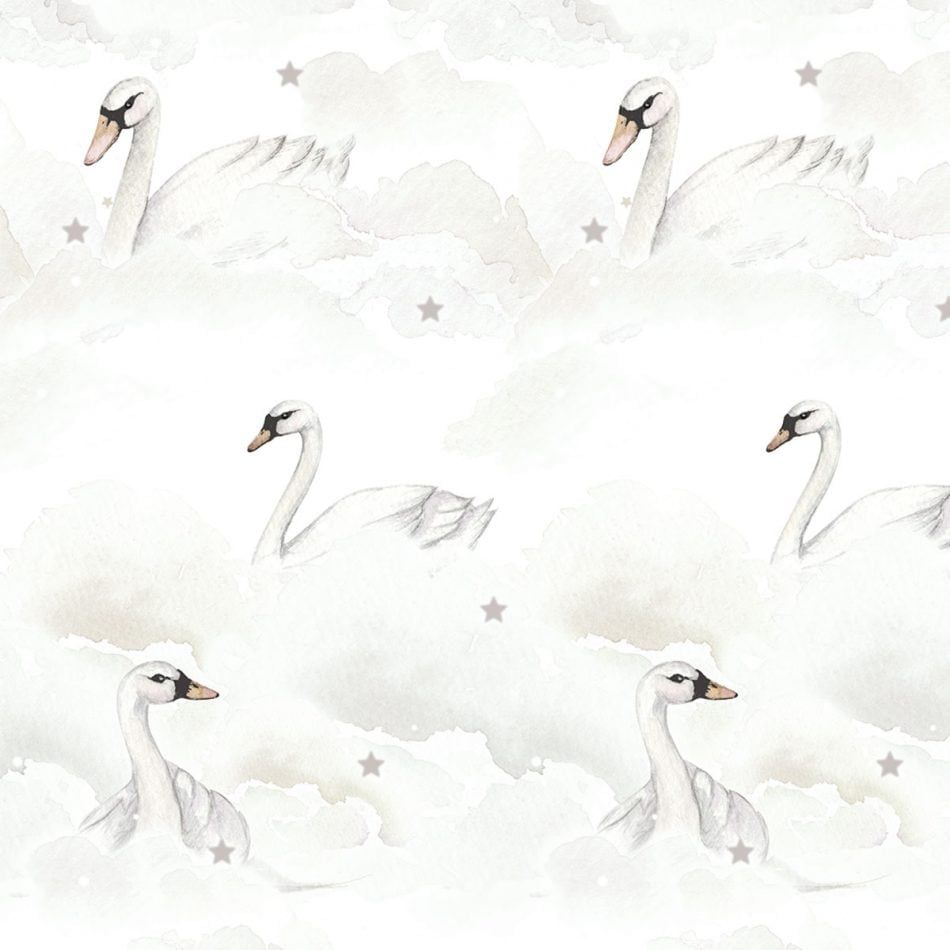 Swan Wallpapers