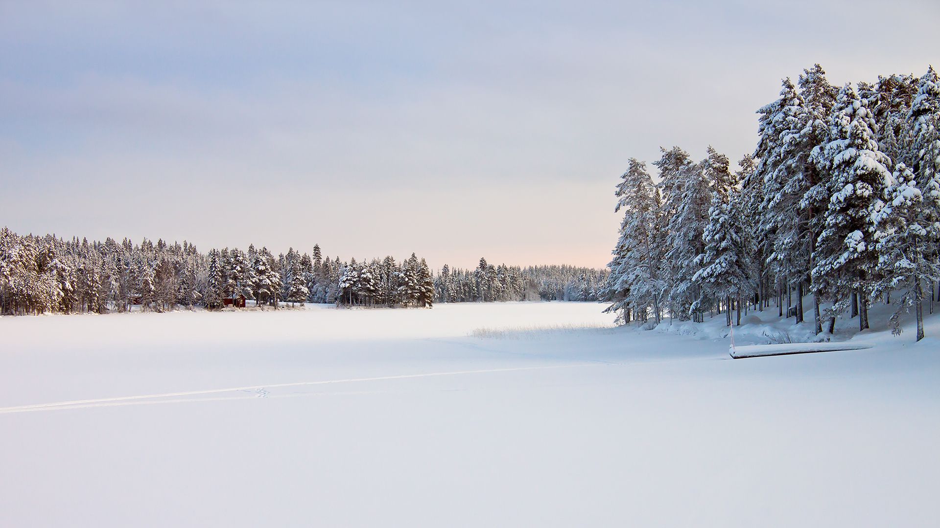 Sweden Snow Wallpapers