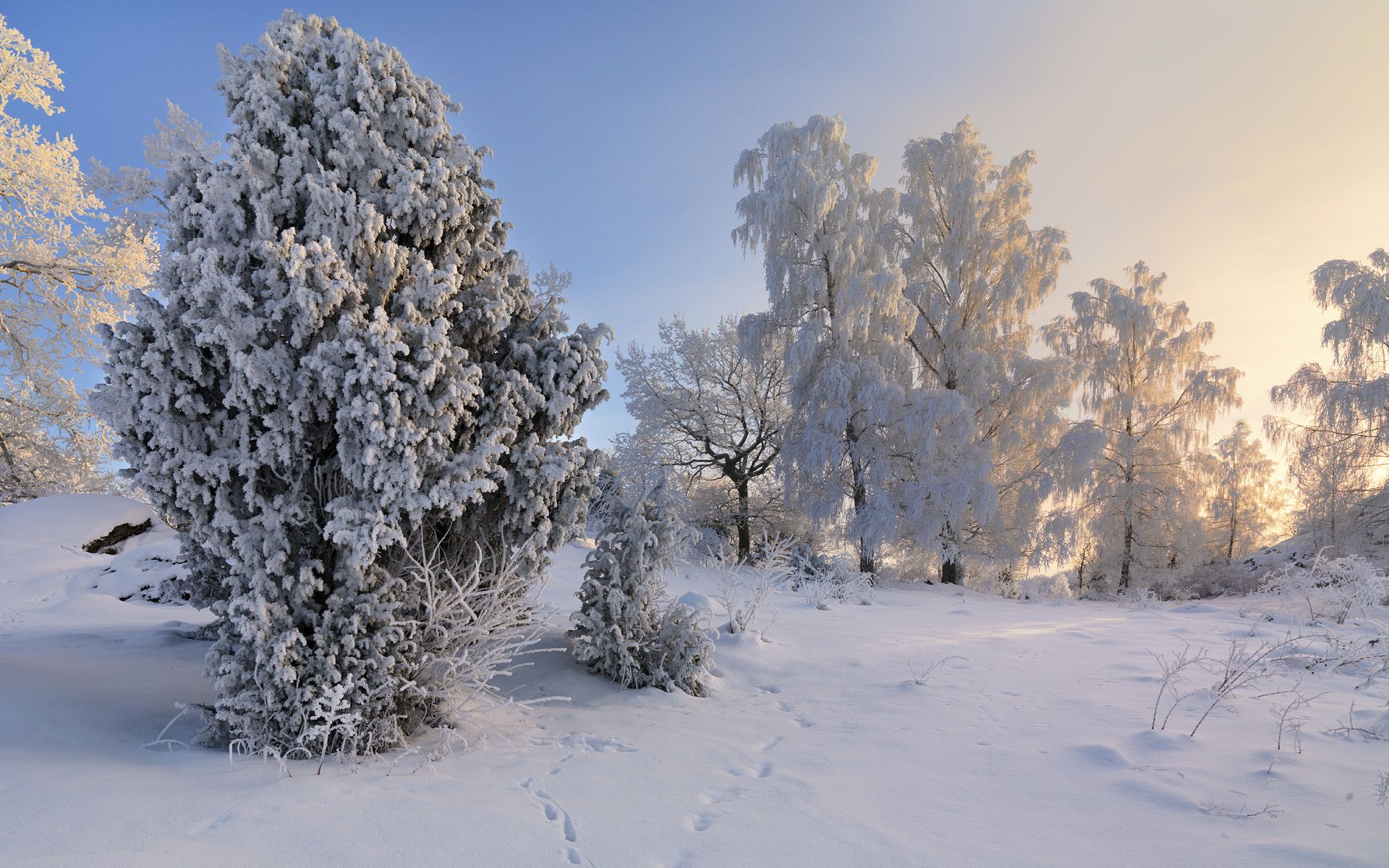 Sweden Snow Wallpapers