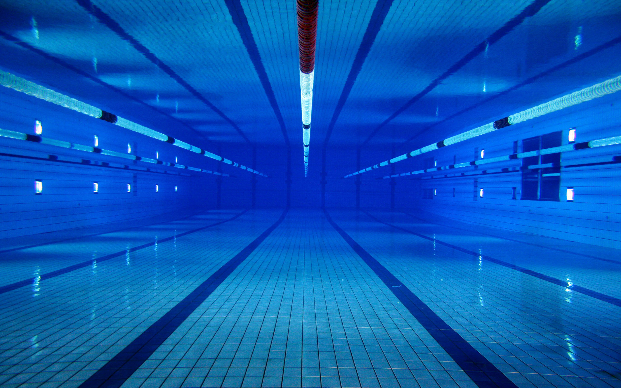 Swimming Wall Paper Wallpapers