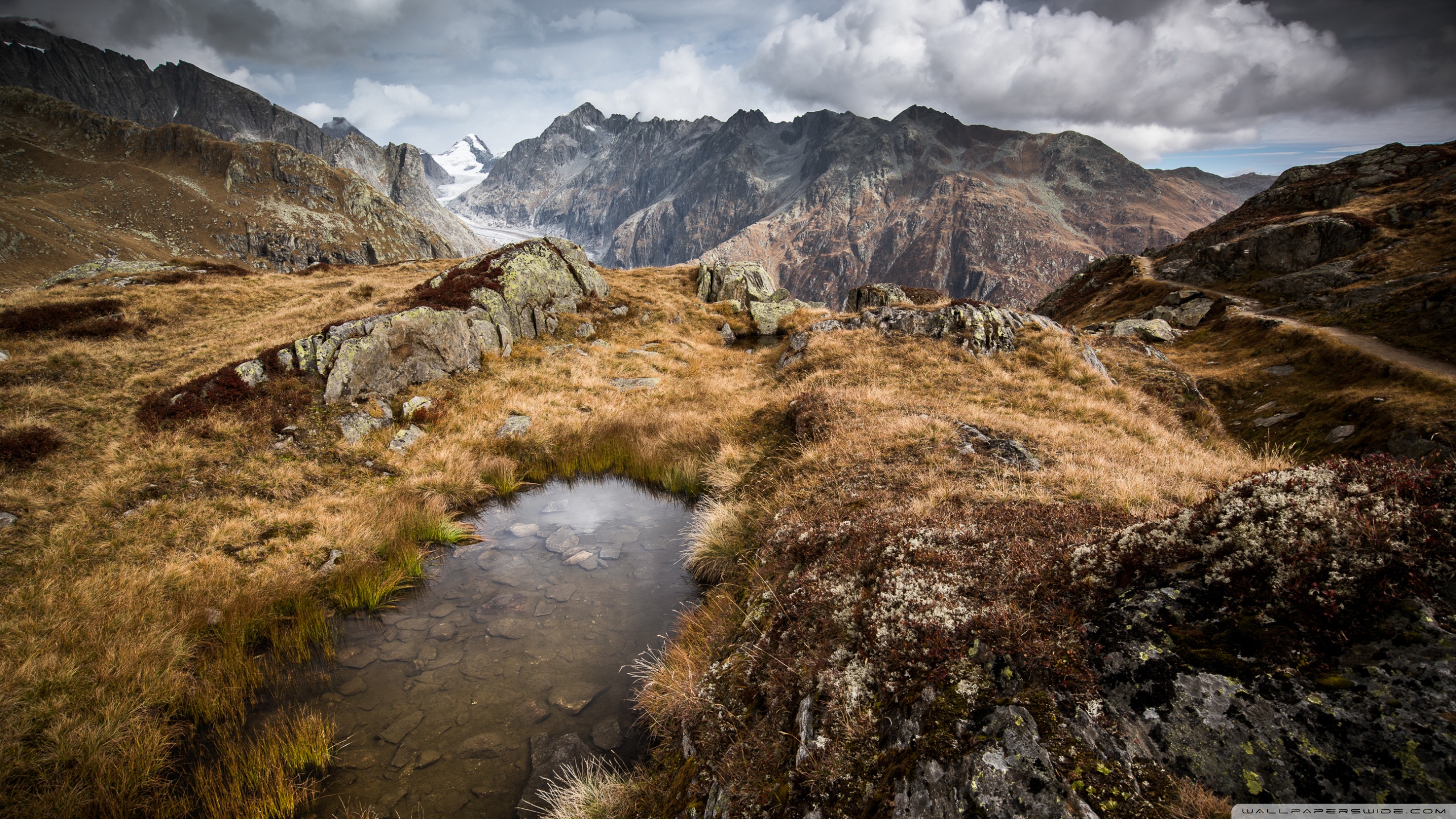 Swiss Alps Wallpapers