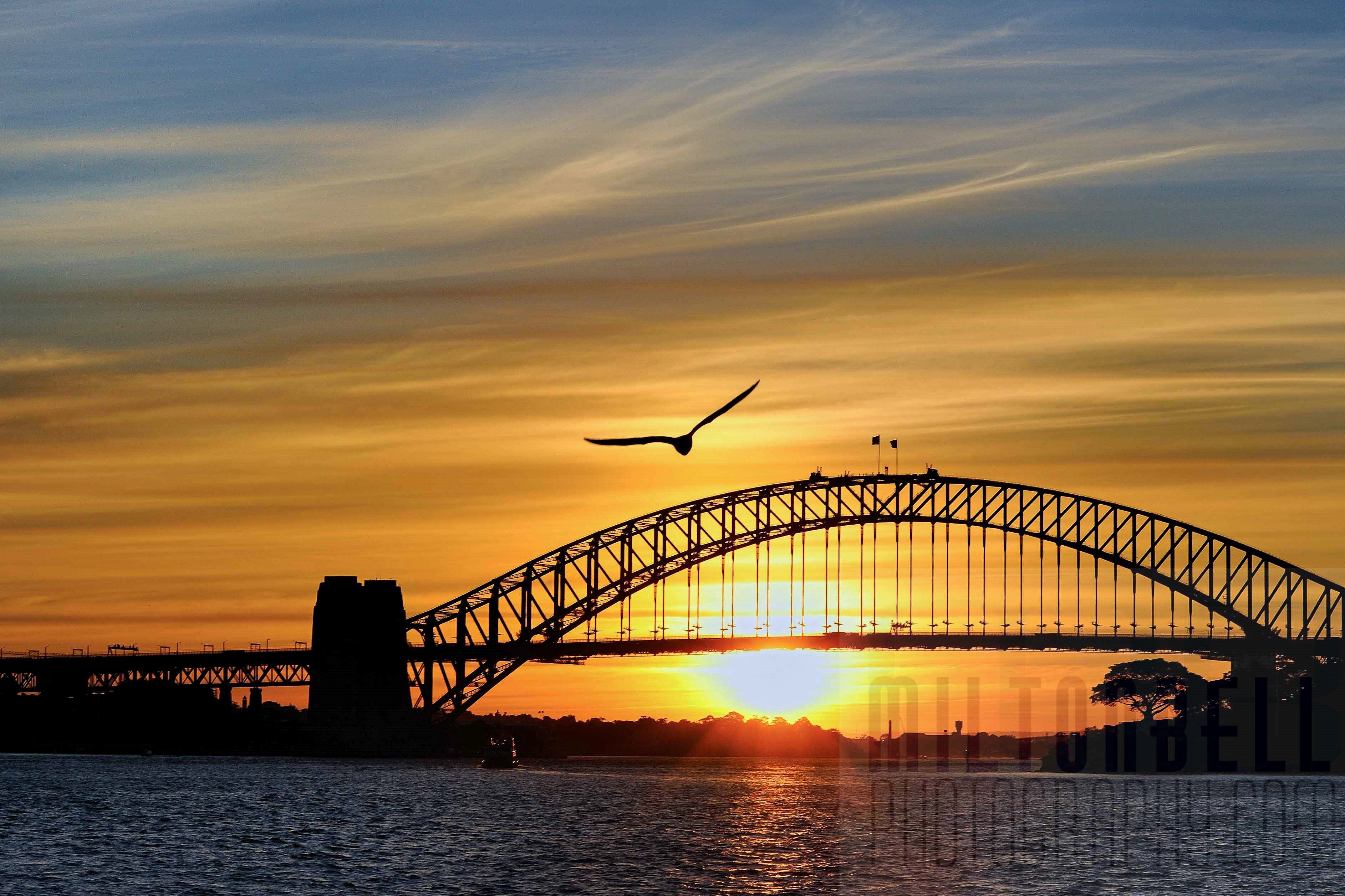 Sydney Harbour Bridge Wallpapers