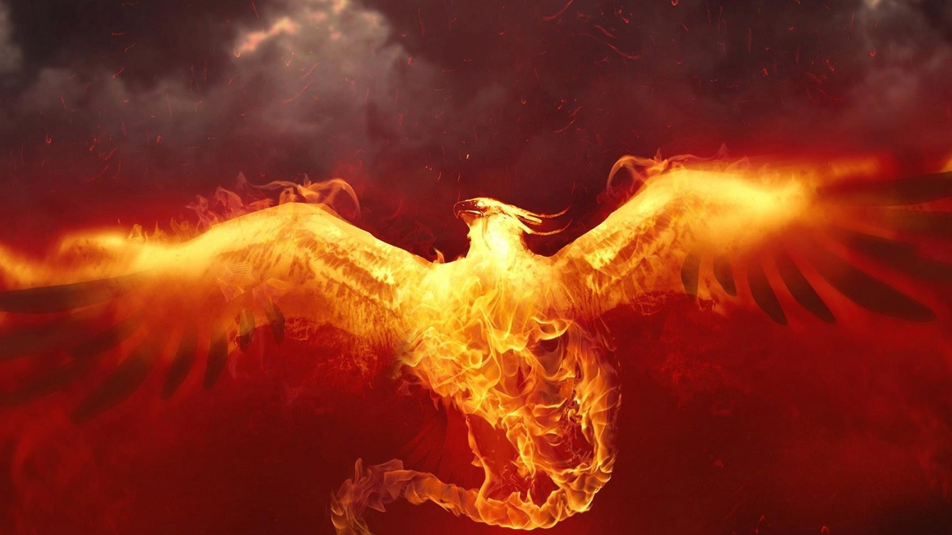 Symbol Of The Phoenix Wallpapers