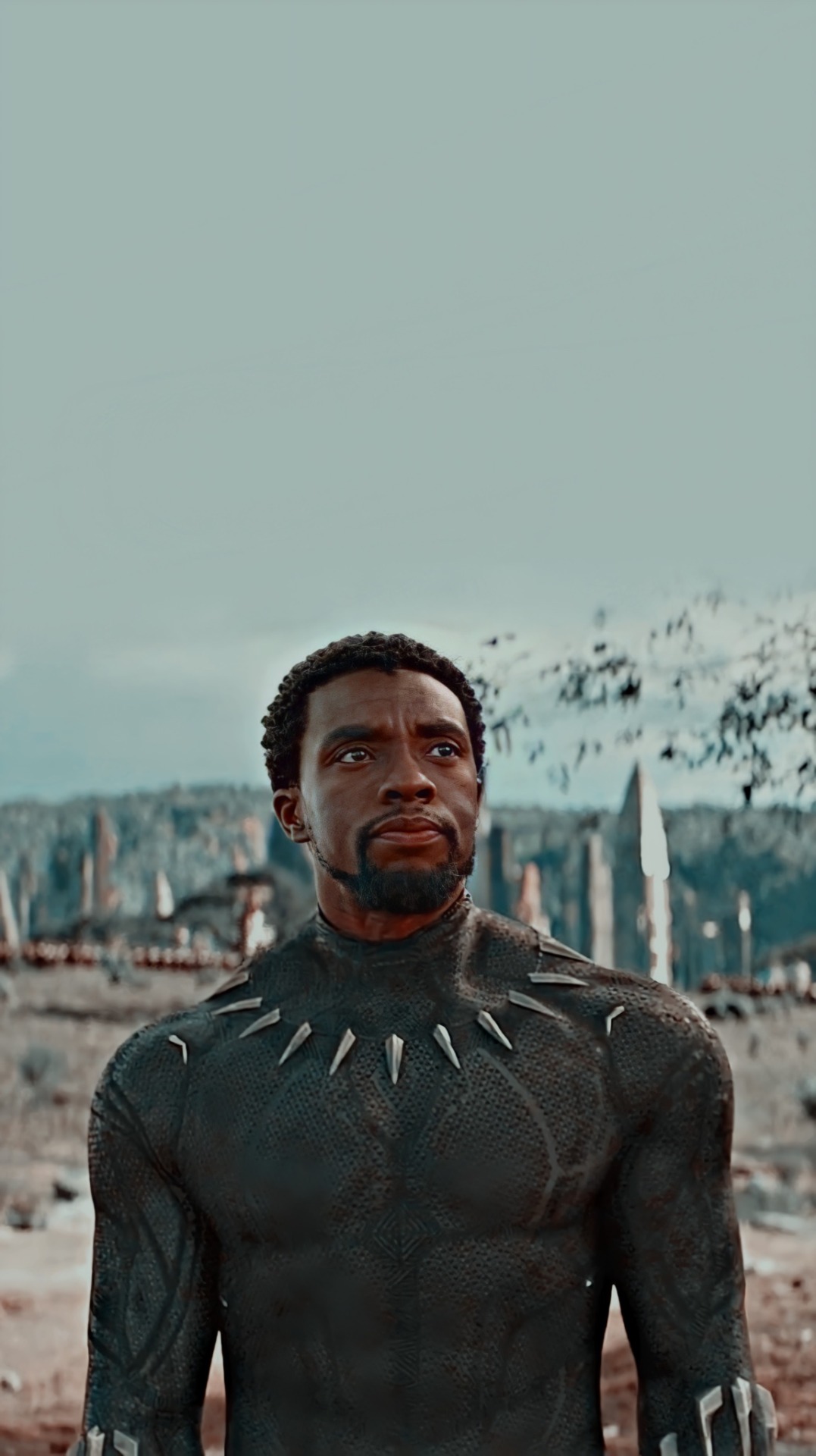 T'Challa Chadwick Boseman Black Panther Wallpapers