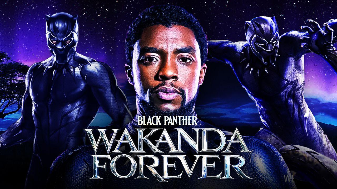 T'Challa Chadwick Boseman Black Panther Wallpapers